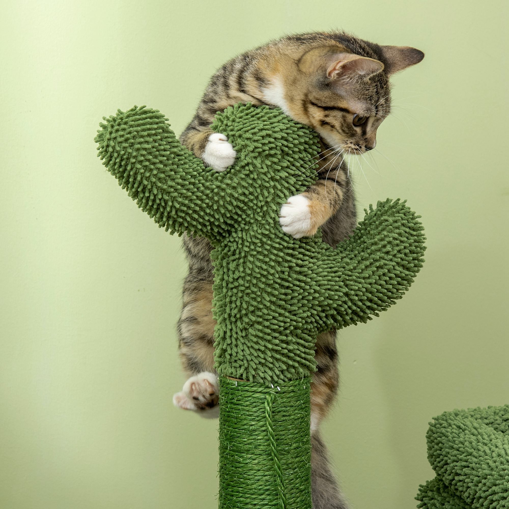 Árvore Arranhador para Gatos Desenho de Cacto Verde 68x30x67 cm