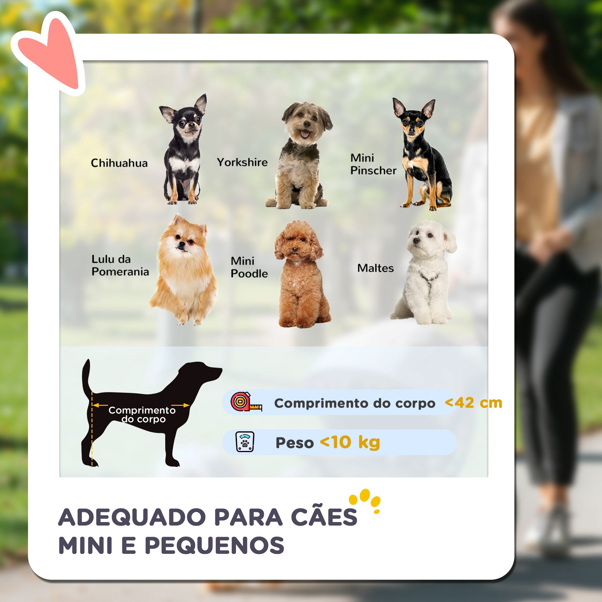 Carrinho para Cães Pequenos Azul 81x48x99 cm