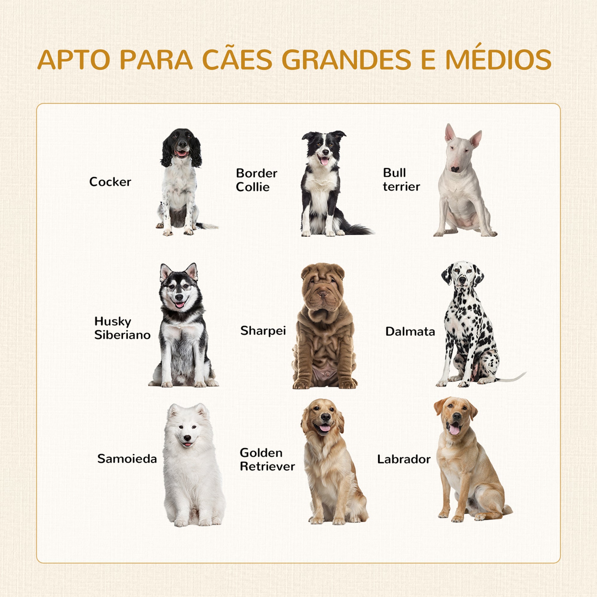 Gaiola para Cães – 94x60x71,5cm – Branco – Aço e Aglomerado