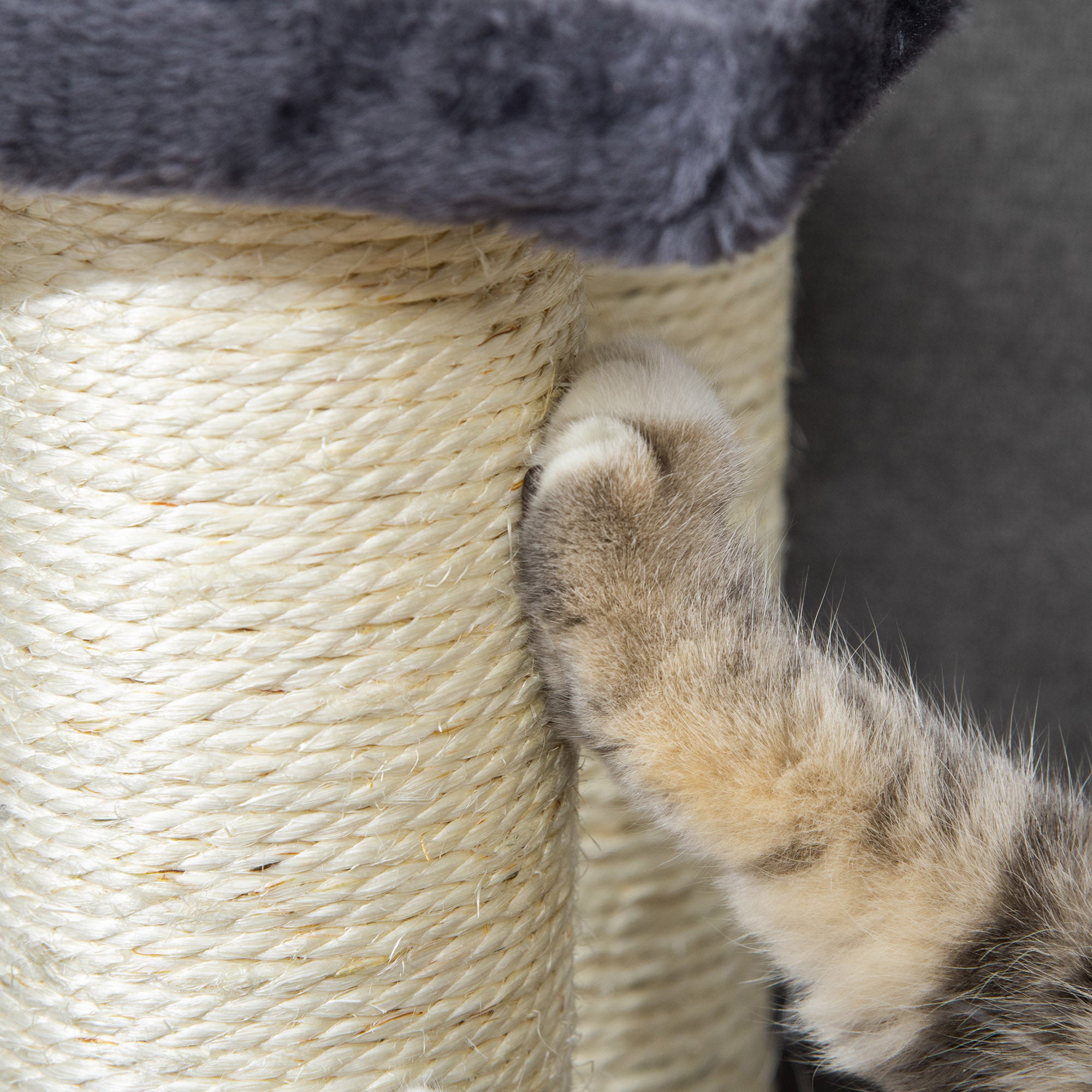 Escada para Animais de Estimação 4 Passos Cinza 60x42x61cm