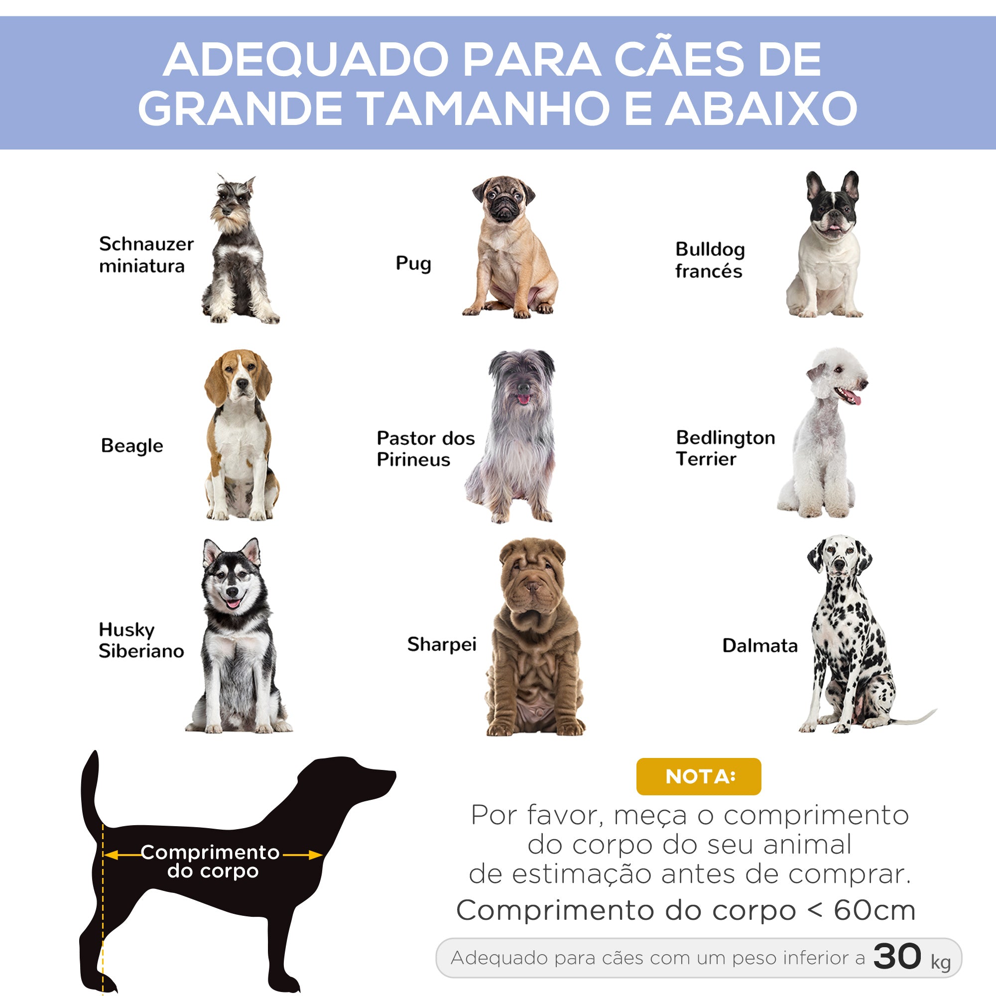 Cama Elevada para Animais de Estimação 91.5x76.2x18cm - Azul