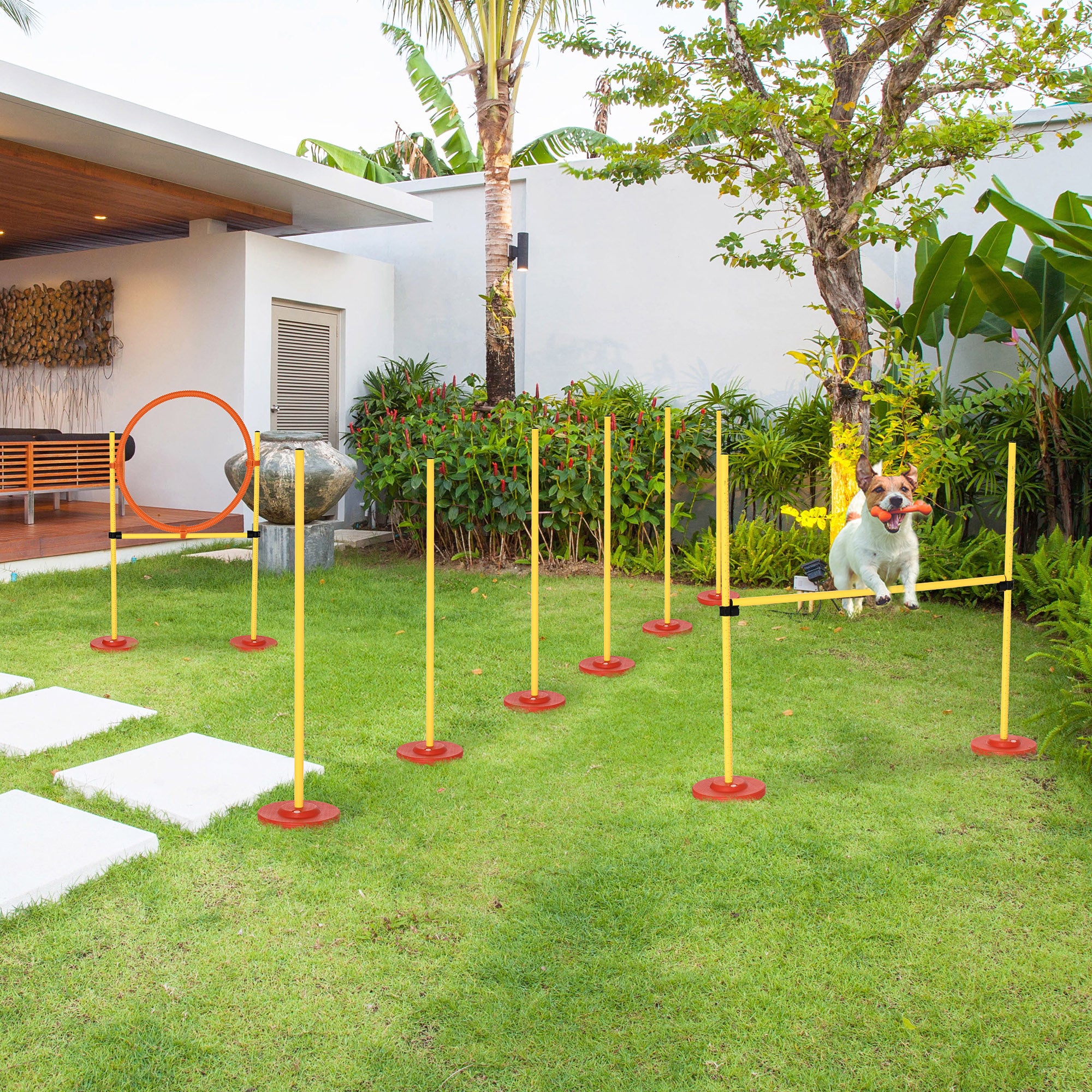 Conjunto de Treino de Agilidade para Cães – 90x23x100 cm – Amarelo – ABS, PE e poliéster