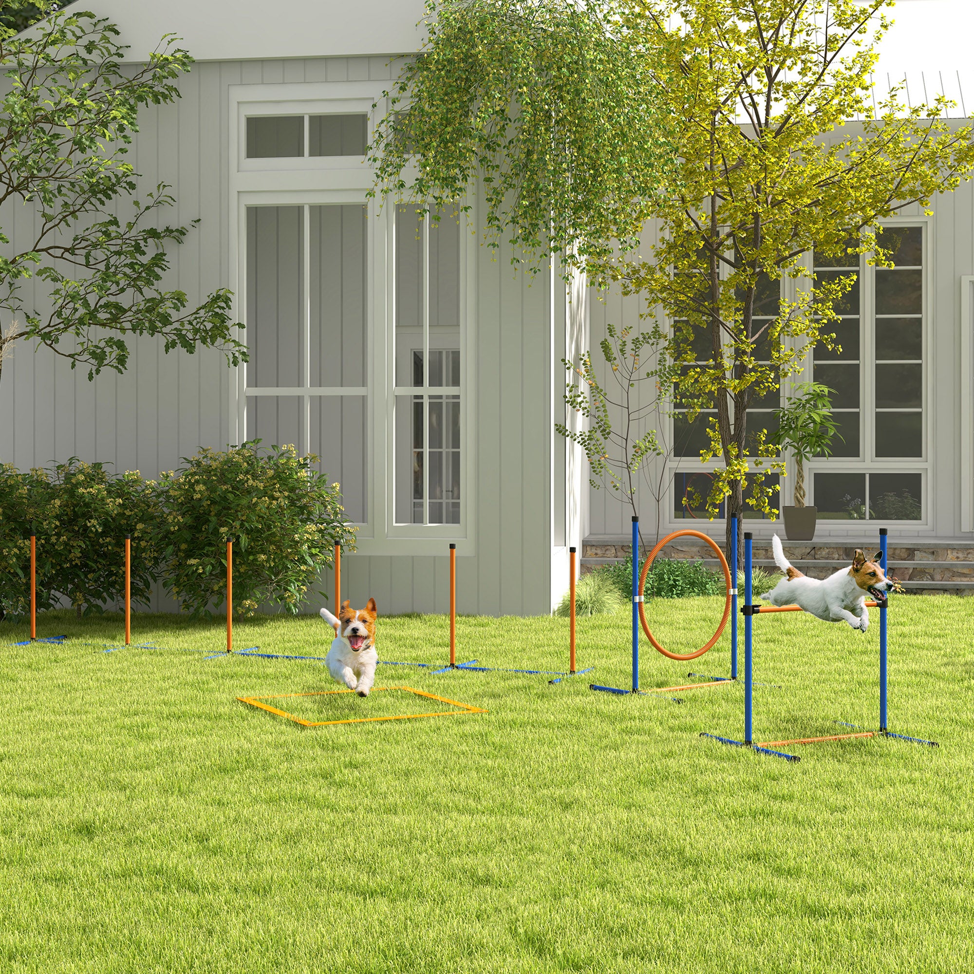 Conjunto de Treino de Agilidade para Cães – 73x66x92 cm – Laranja e Azul