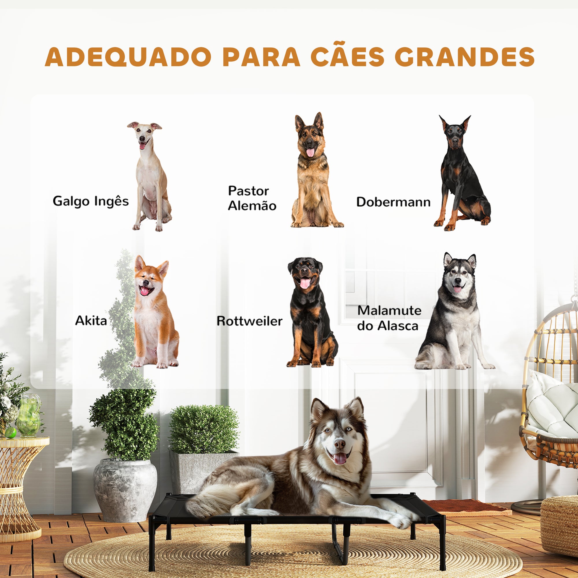 Cama Elevada para Animais de Estimação – 122x92x23 cm – Cor Preto – Metal