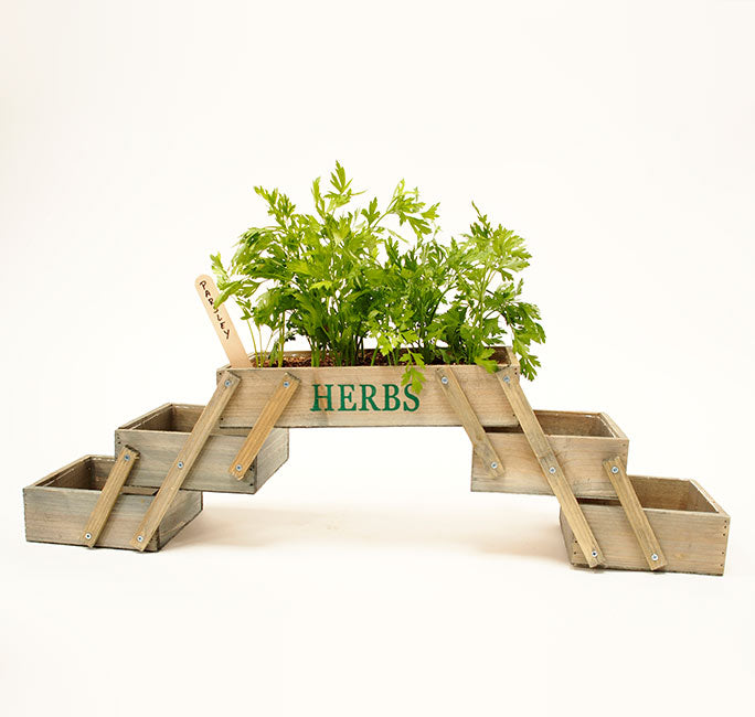 Mini Horta Dobrável – 71,5 cm x 15,5 cm x 18 cm – madeira impregnada
