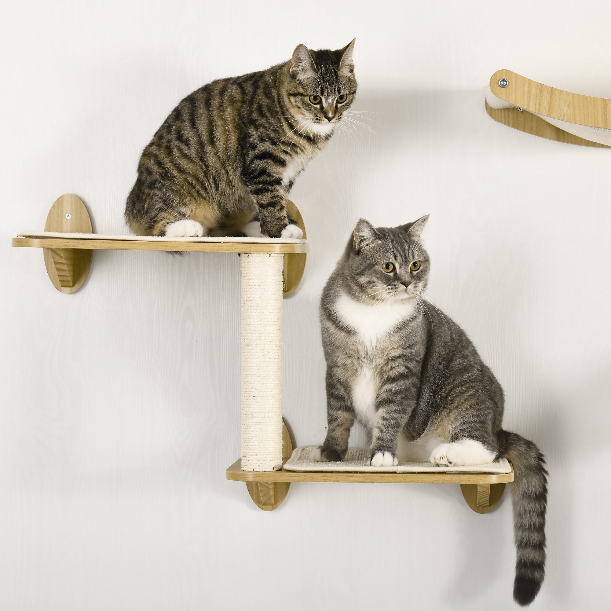 Conjunto de Prateleiras de Parede para Gatos - 40x32,5x45 cm - Cor de Carvalho