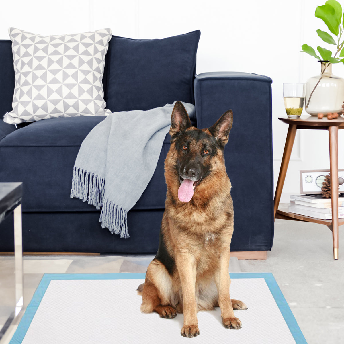 Tapetes Descartáveis para Animais de Estimação – 76 x 76 cm – Azul – Material Hipoalergénico