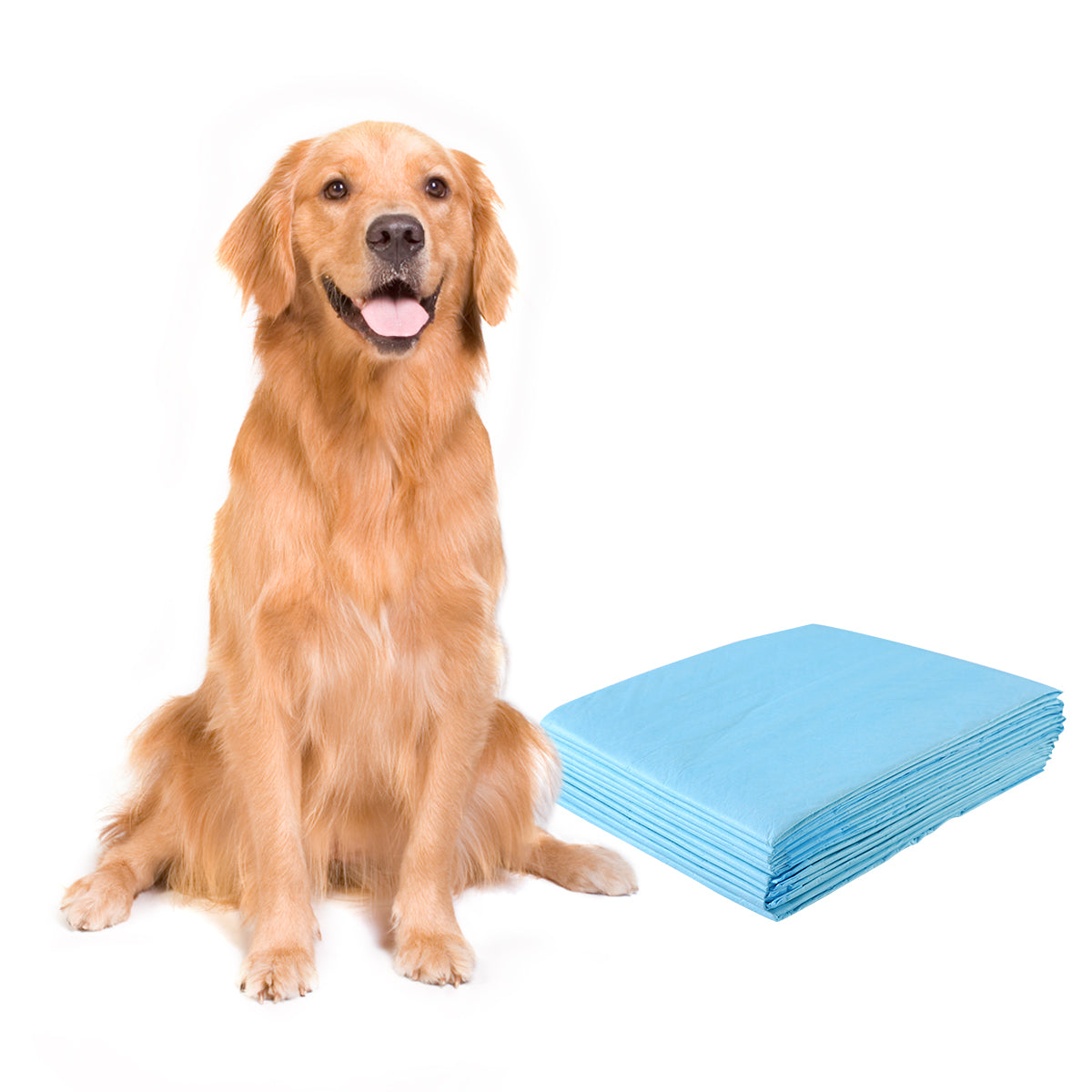 Tapete para Cães Descartável – 76 x 91 cm – Azul – Material Hipoalergénico