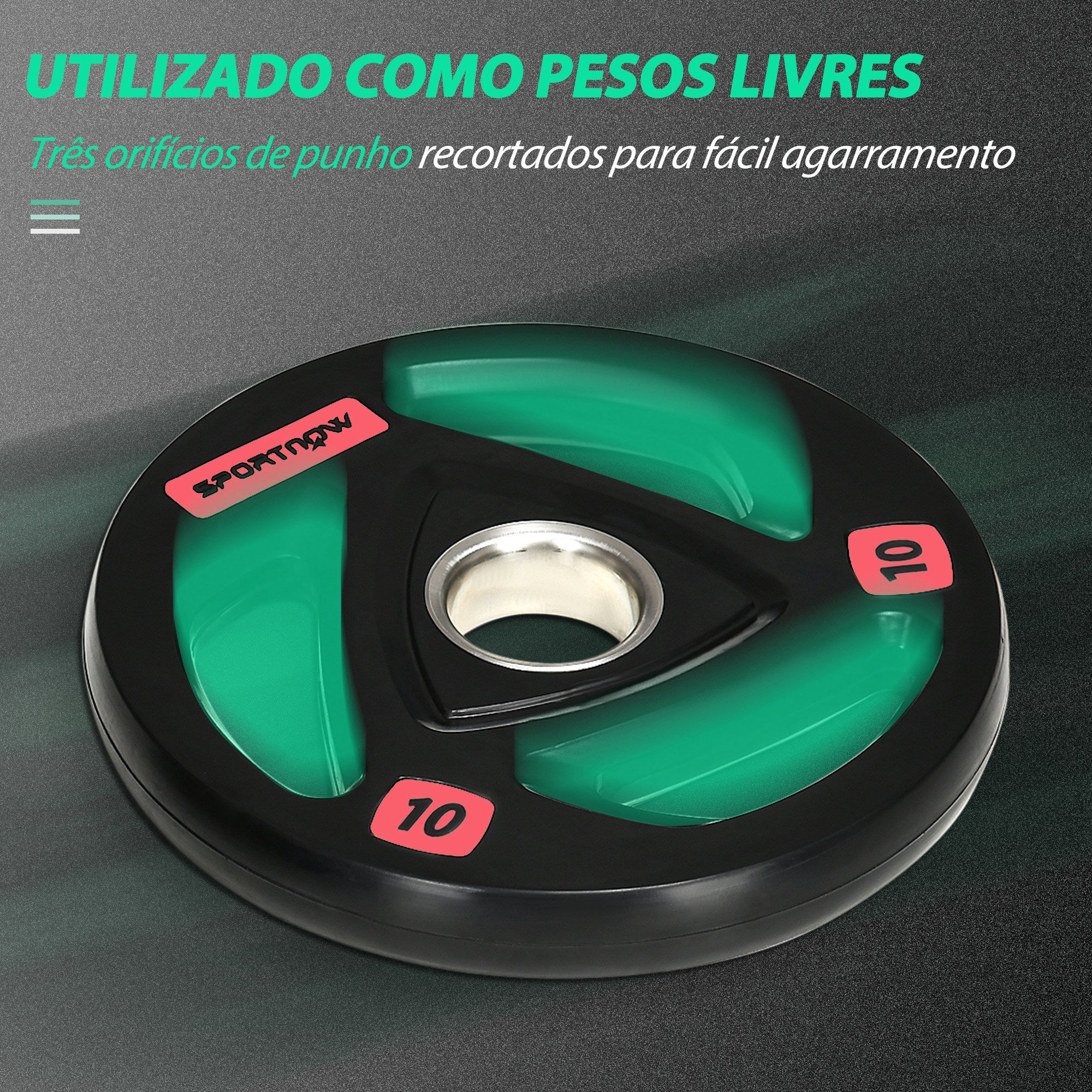 Conjunto de 2 Discos de Pesos – 10kg – Preto – Metal e Borracha