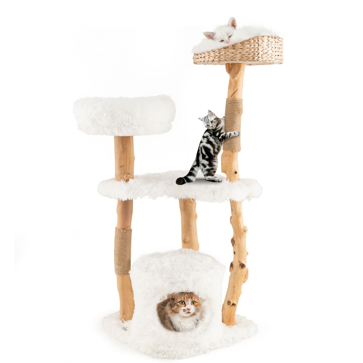 Árvore de Gatos em Madeira Maciça com Postes de Sisal Condomínio Móveis de Escalada Modernos para Gatos 48 x 48 x 124 cm