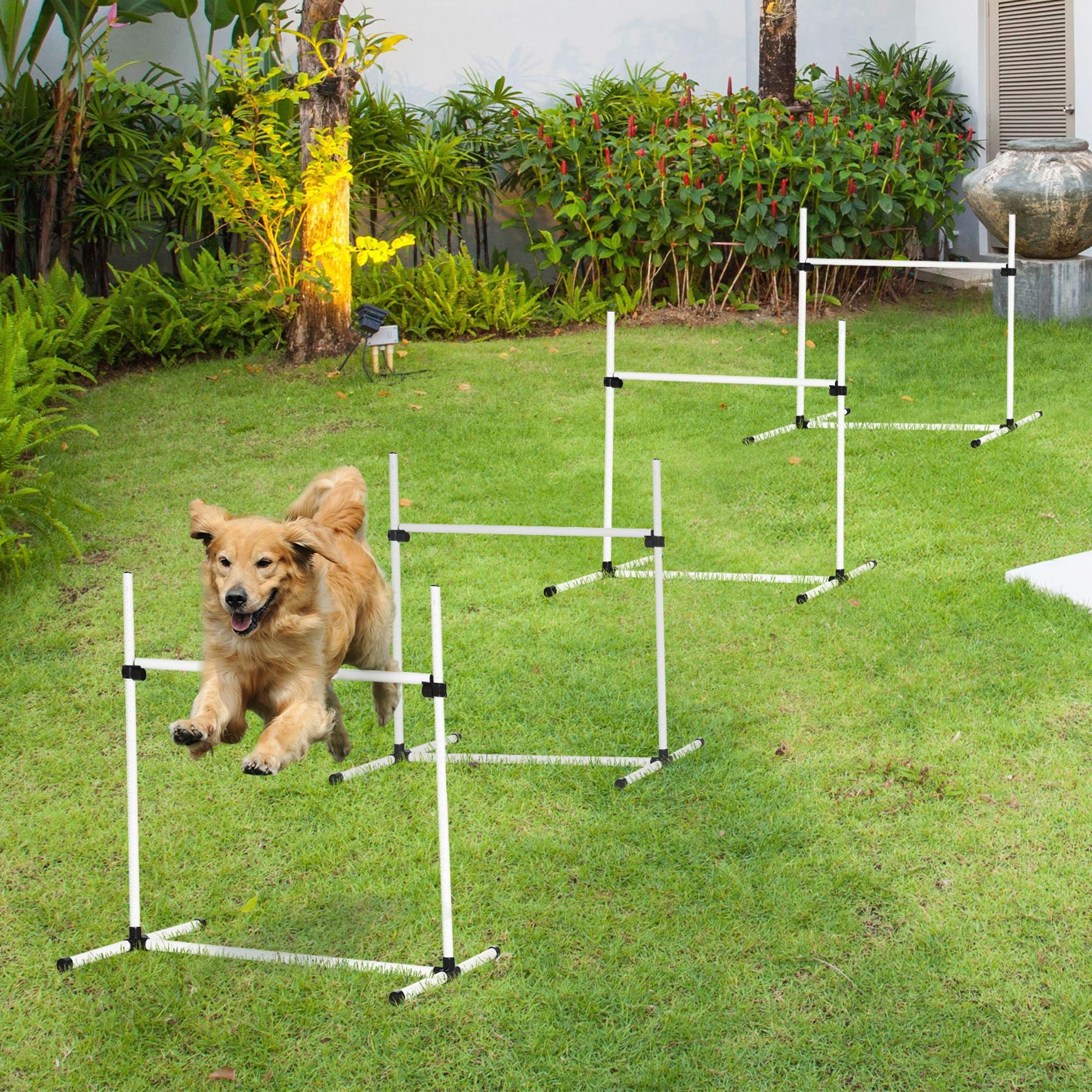 Conjunto de Treinamento de Agilidade para Cães – 99x65x94 cm – Branco – PE, PVC e ABS