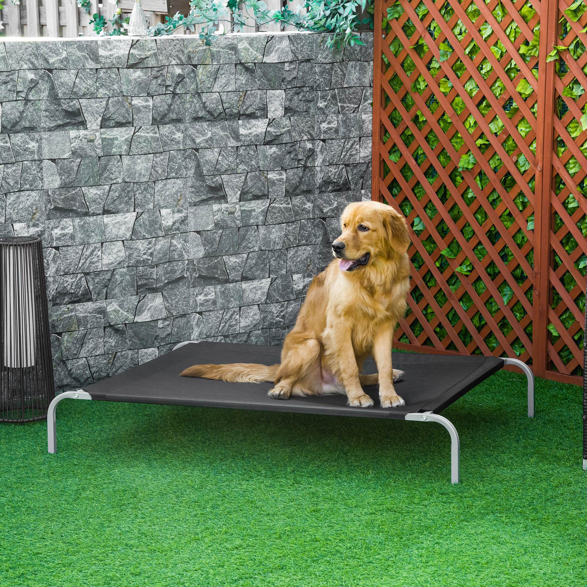 Cama Elevada para Animais de Estimação – 130x90x20 cm – Preto – Metal