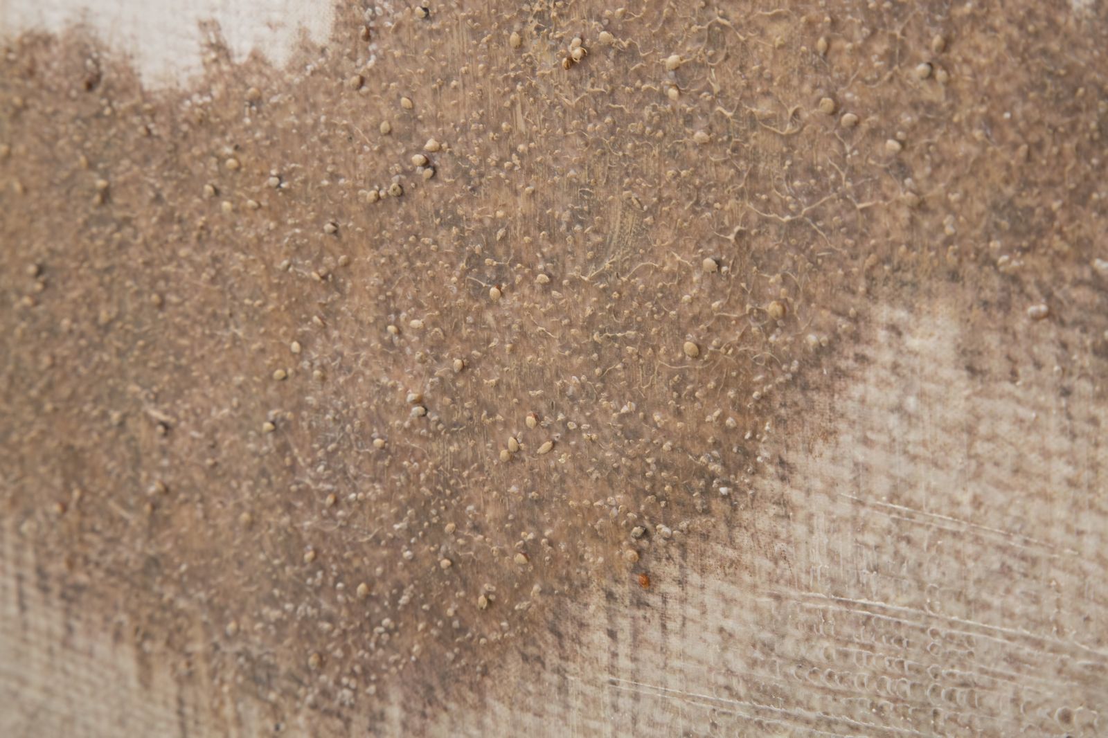 Quadro em Tela – Multicolor – Madeira de Pinho