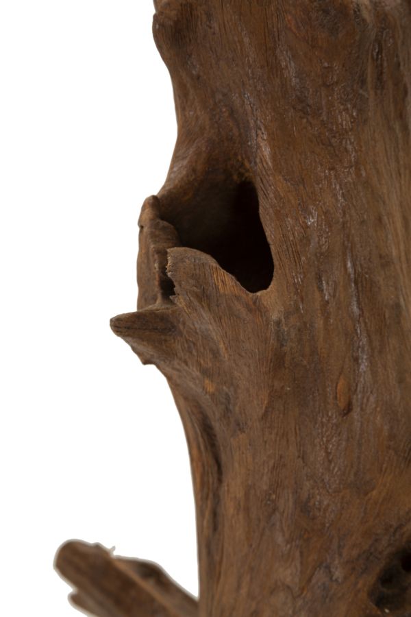 Escultura ETNICH – Castanha – Madeira de Teca