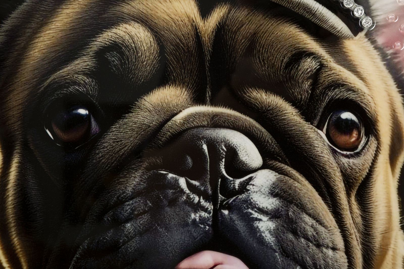 Quadro em Tela – Multicolor – Madeira – Metal