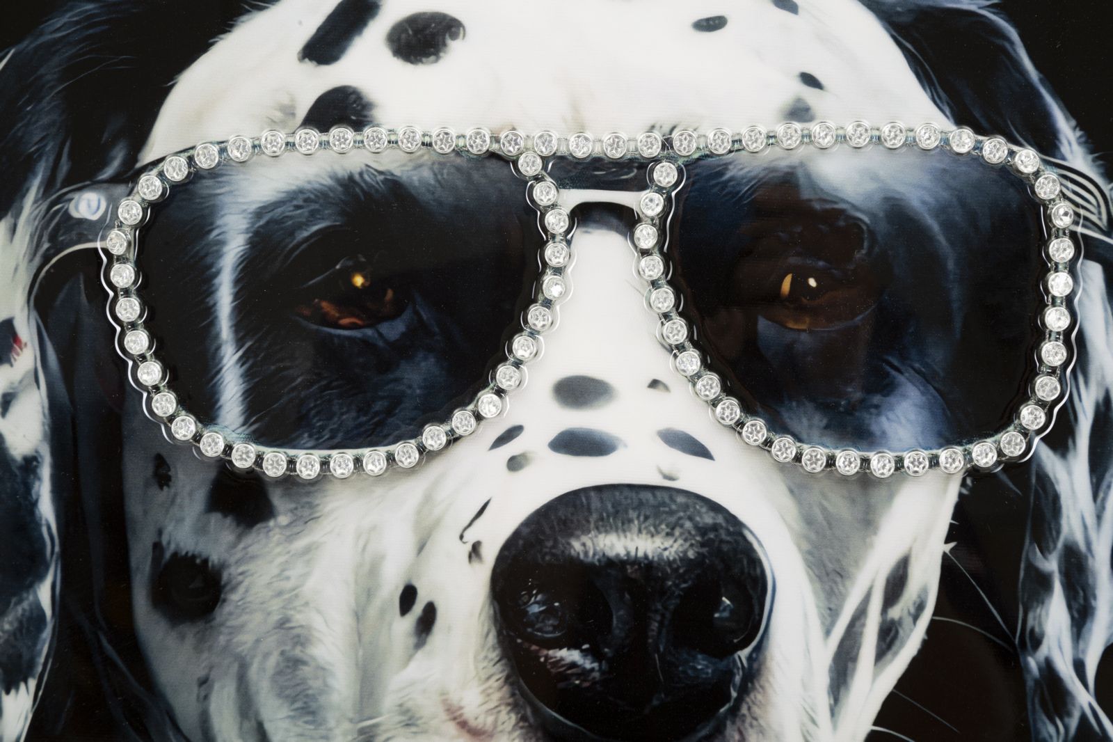 Pintura em Tela – Moldura em Madeira e Metal – Multicolor