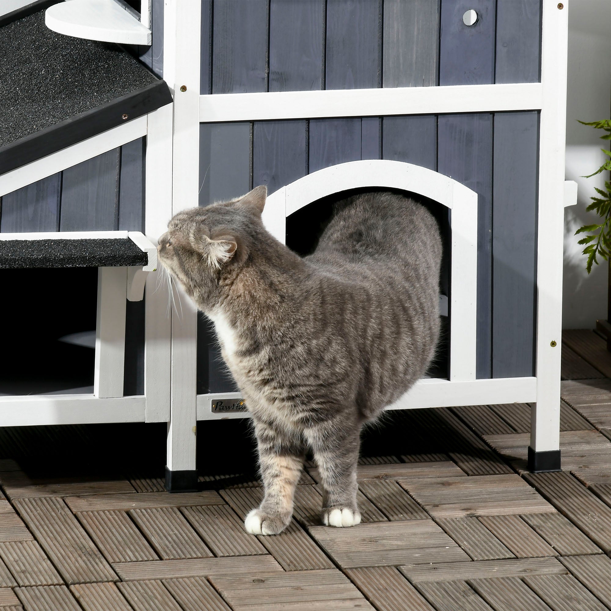 Casa para Gatos de Madeira com Floreira 96x65x85,5 cm Cinzento