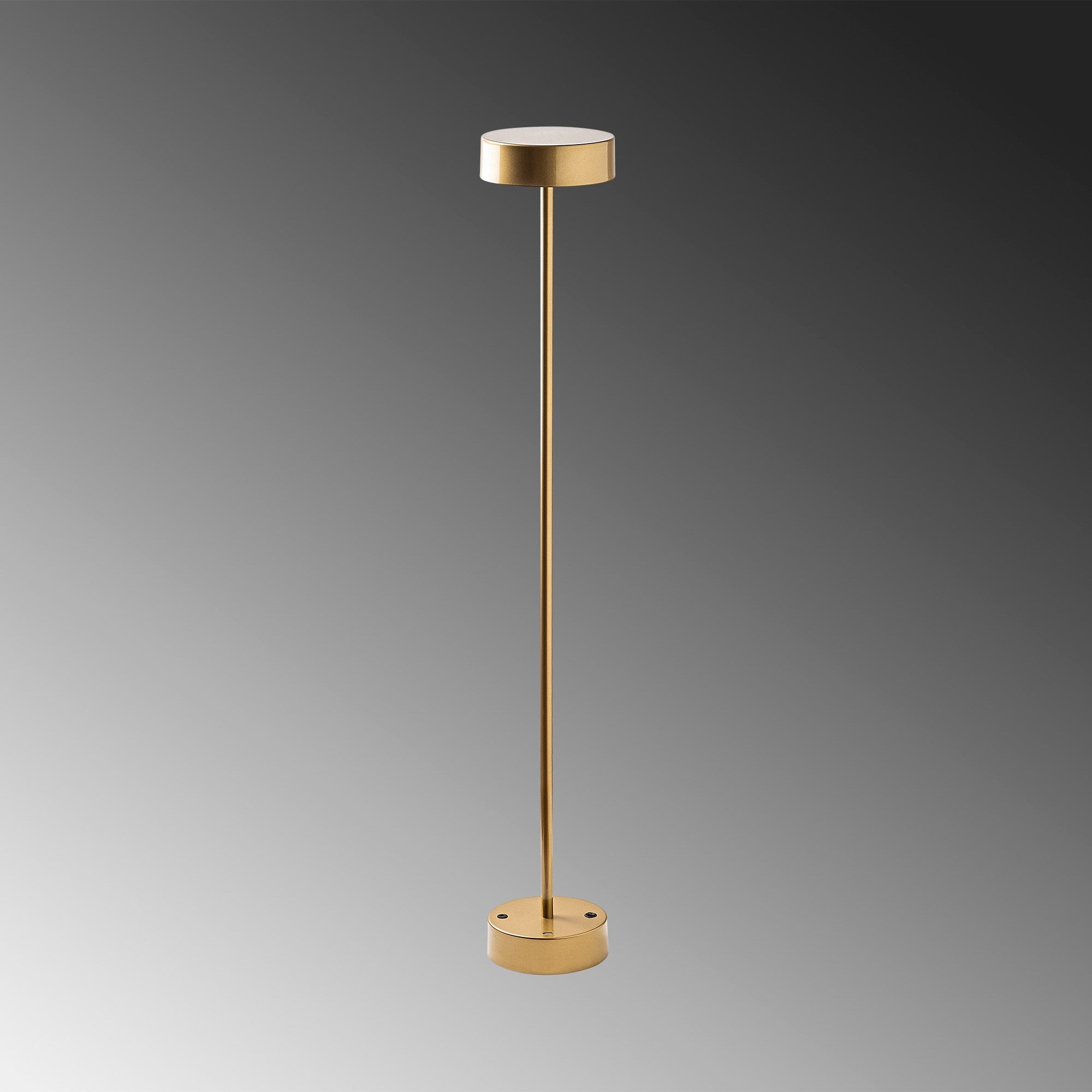 Candeeiro de Pé elegante dourada, corpo de metal, 111 cm de altura, 16 cm de diâmetro, 80 CRI, LED 5W 3000K, duração de luz de 8 horas, perfeita para decoração moderna