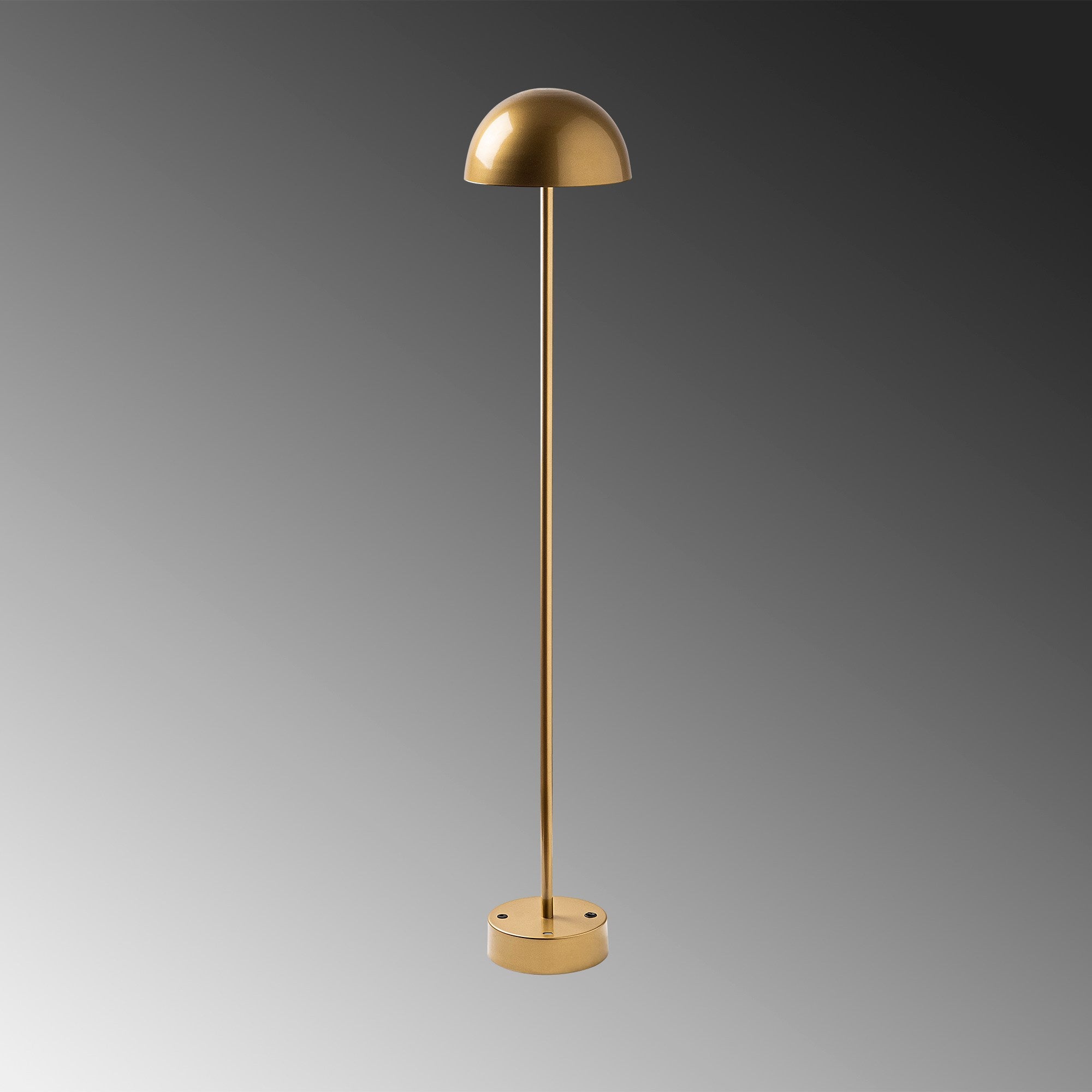 Candeeiro de Pé dourada elegante, corpo de metal, 115 cm de altura, 20 cm de diâmetro, 80 CRI, LED de 5 W, bateria com duração de 8 horas, perfeita para decoração e ambiente modernos