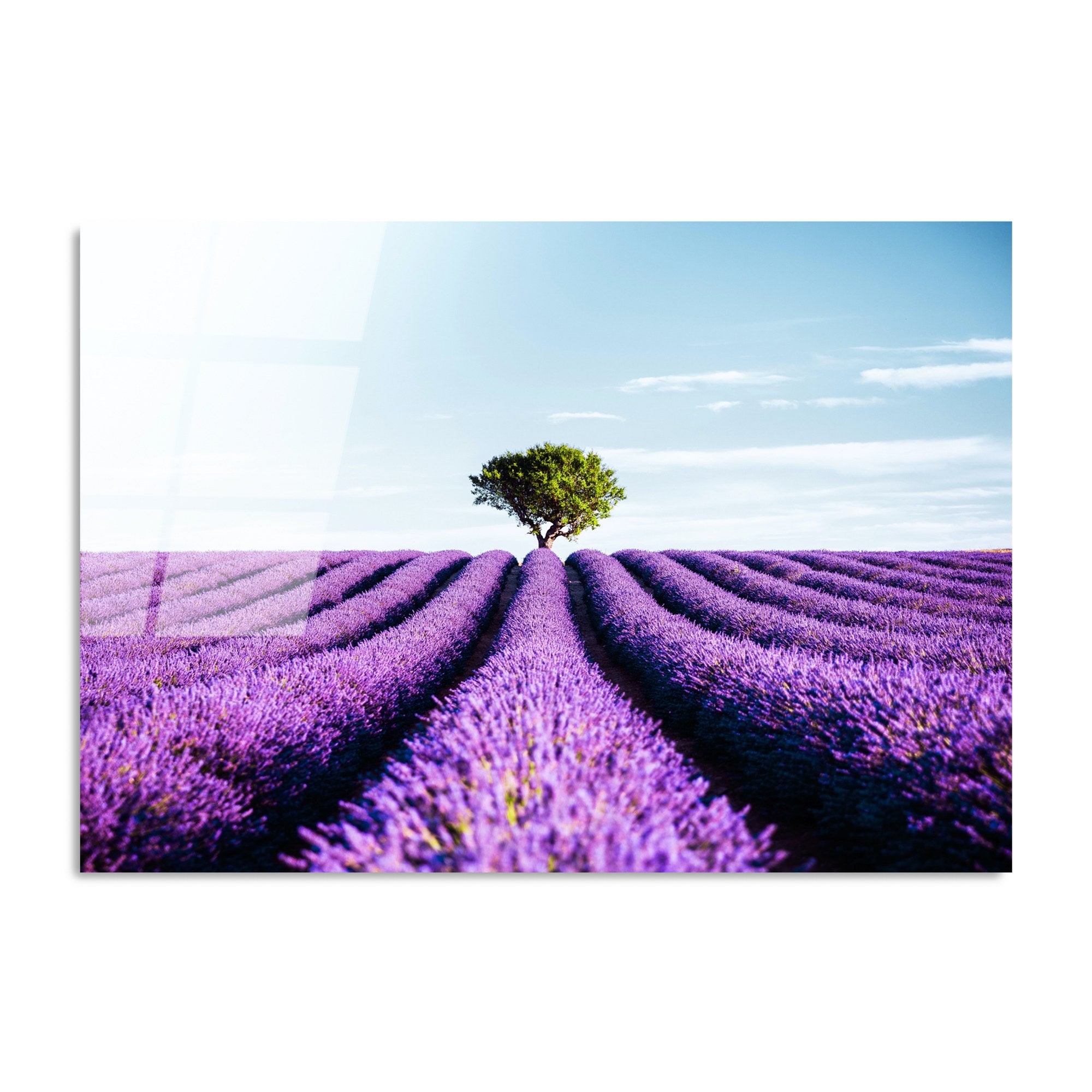 Quadro Decorativo em Vidro Temperado UV-107, 70 x 100 cm, Multicolor, 4 mm