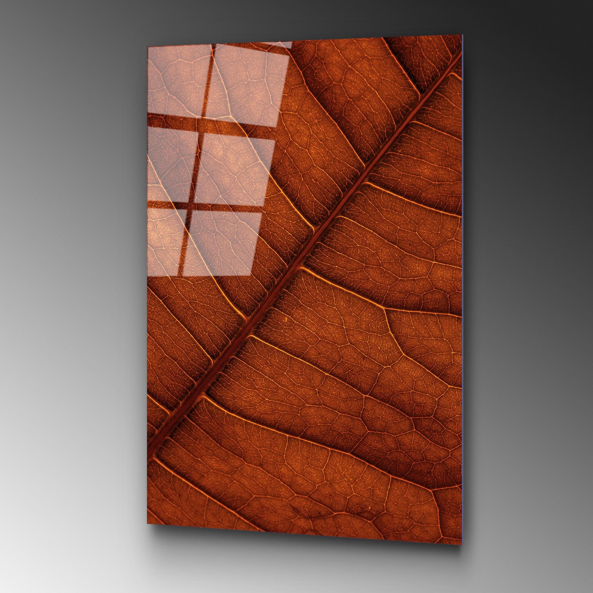 Quadro Decorativo em Vidro Temperado 70 x 100 cm Multicolor – UV-119 (4 mm)