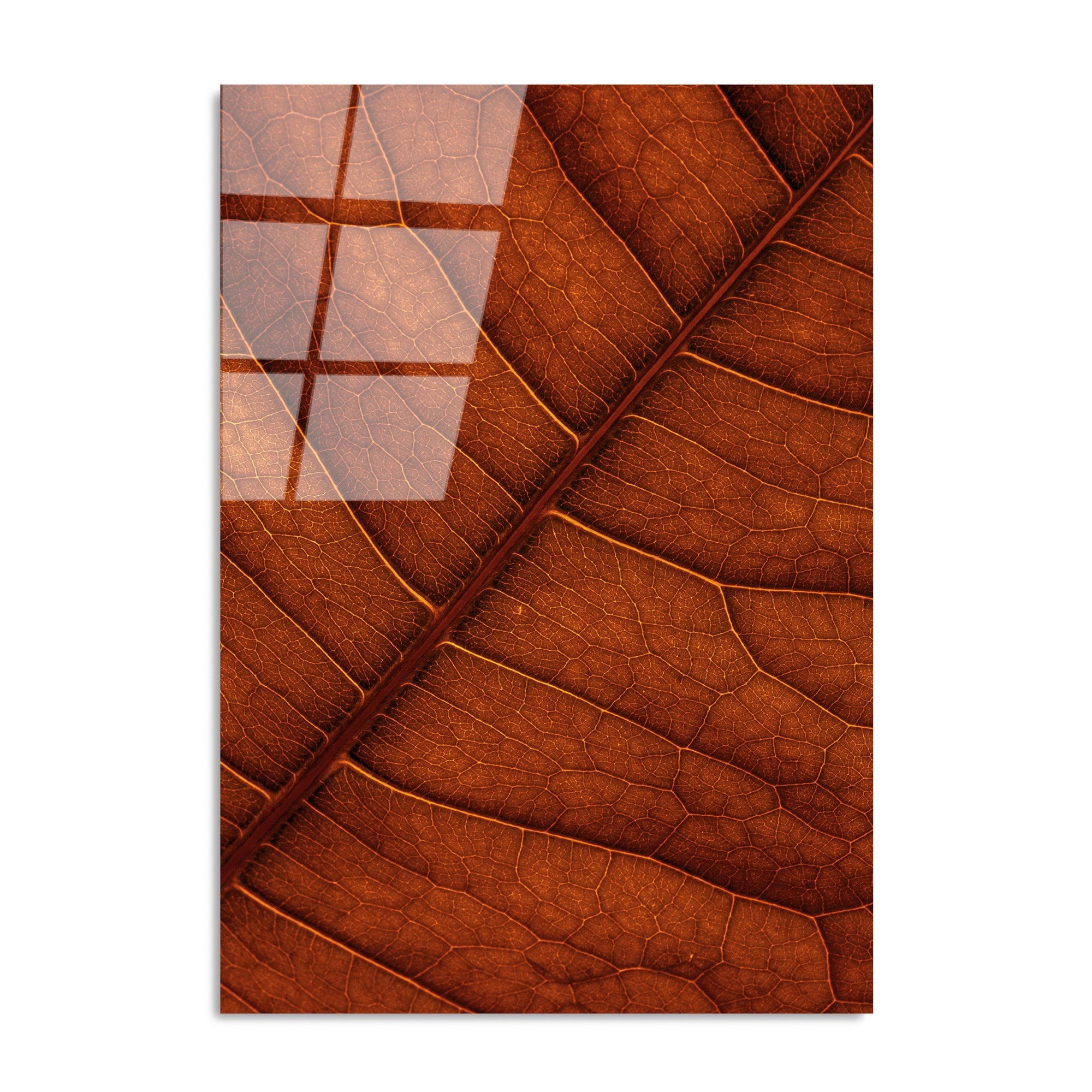 Quadro Decorativo em Vidro Temperado 70 x 100 cm Multicolor – UV-119 (4 mm)