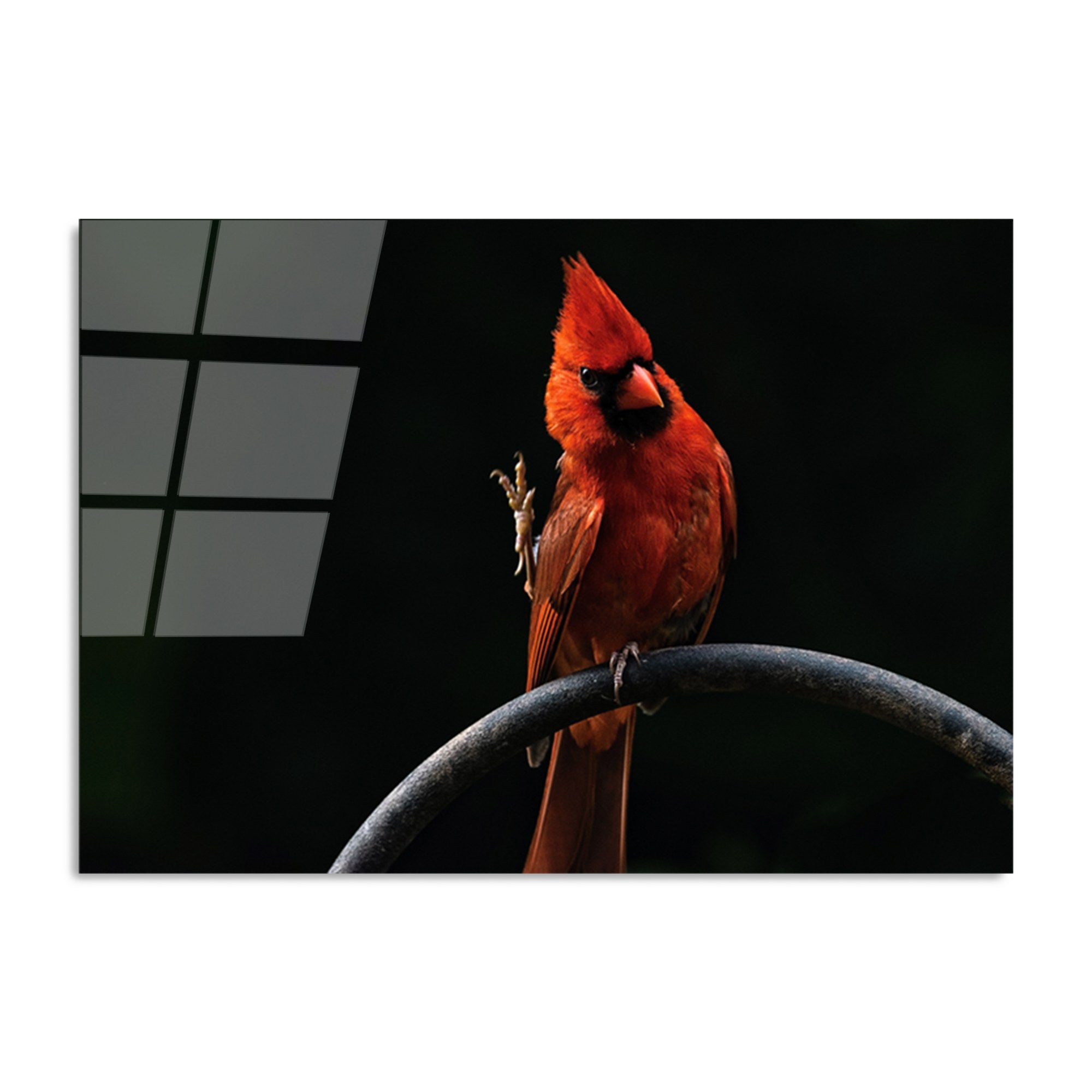 Quadro Decorativo em Vidro Temperado Multicolor 70x100 cm (4 mm) – UV-146