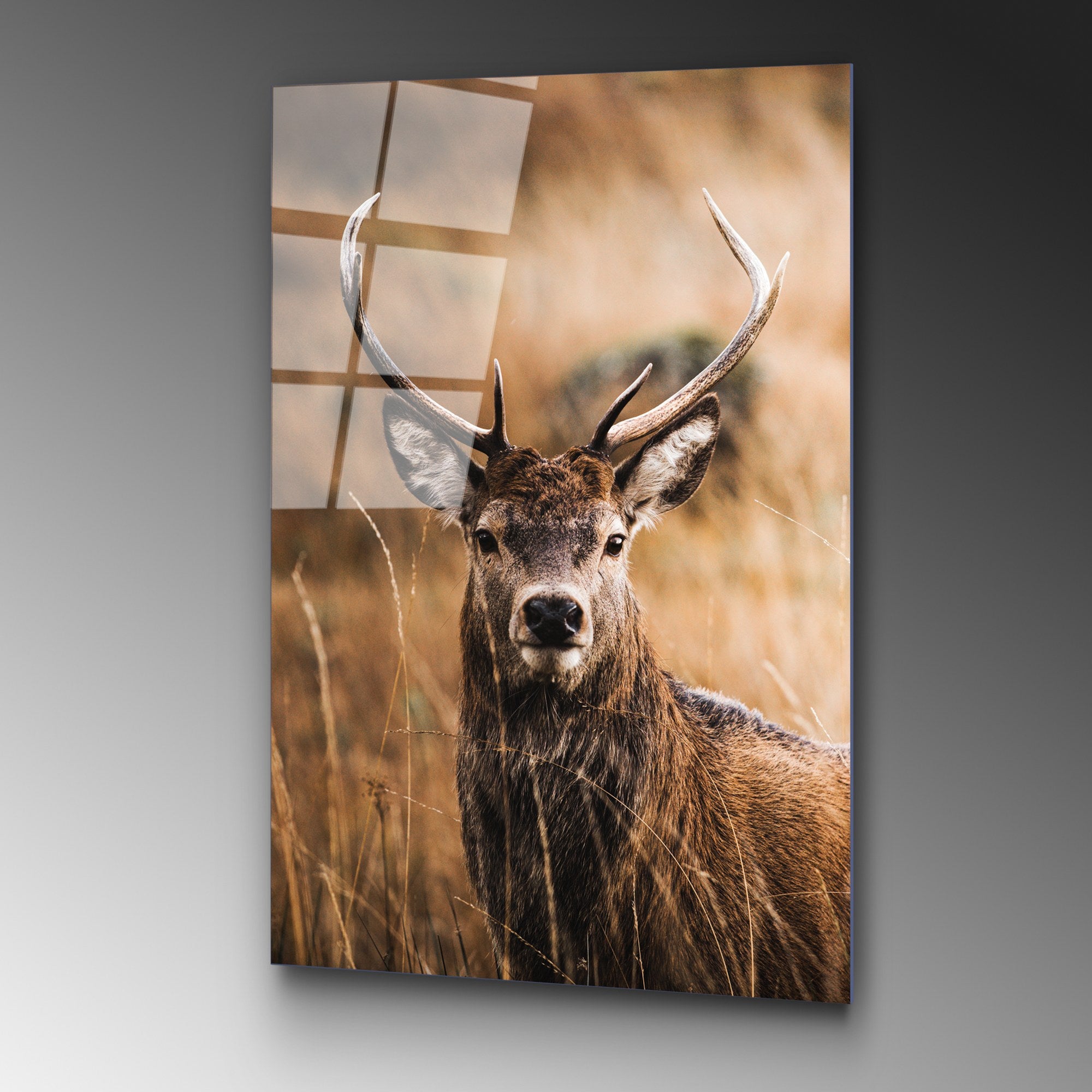 Quadro Decorativo em Vidro Temperado UV-147 Multicolor — 70 x 100 cm, 4 mm