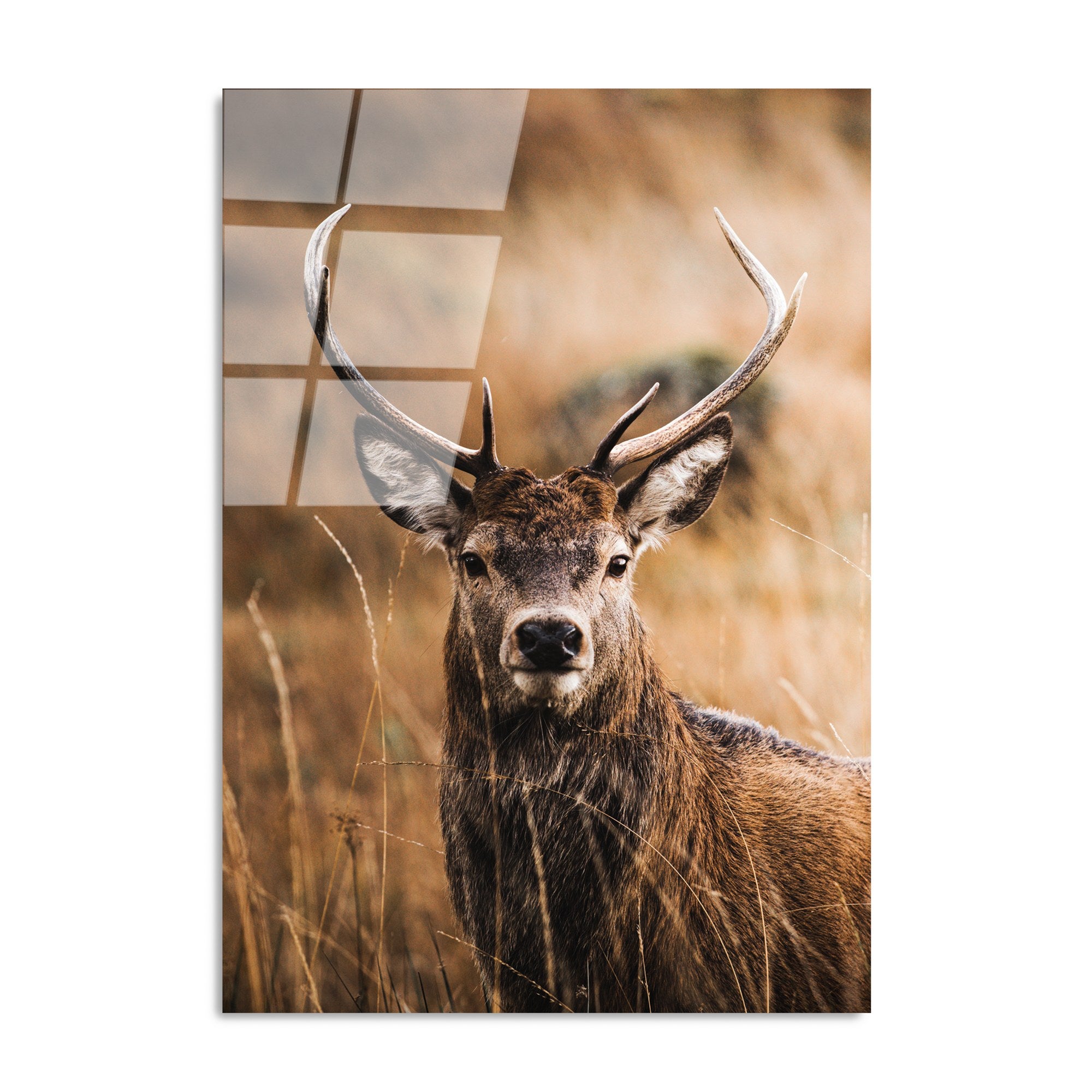 Quadro Decorativo em Vidro Temperado UV-147 Multicolor — 70 x 100 cm, 4 mm