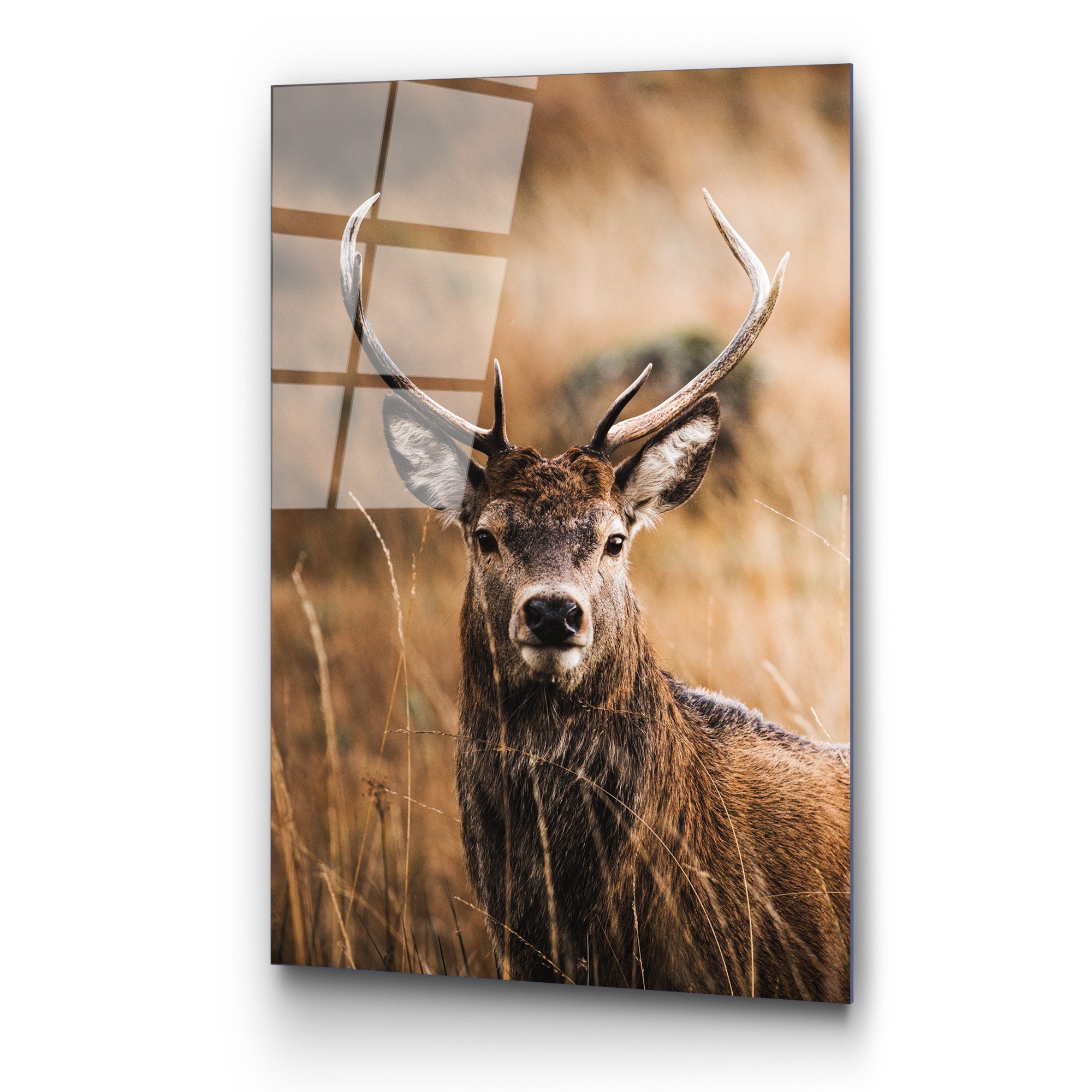 Quadro Decorativo em Vidro Temperado UV-147 Multicolor — 70 x 100 cm, 4 mm