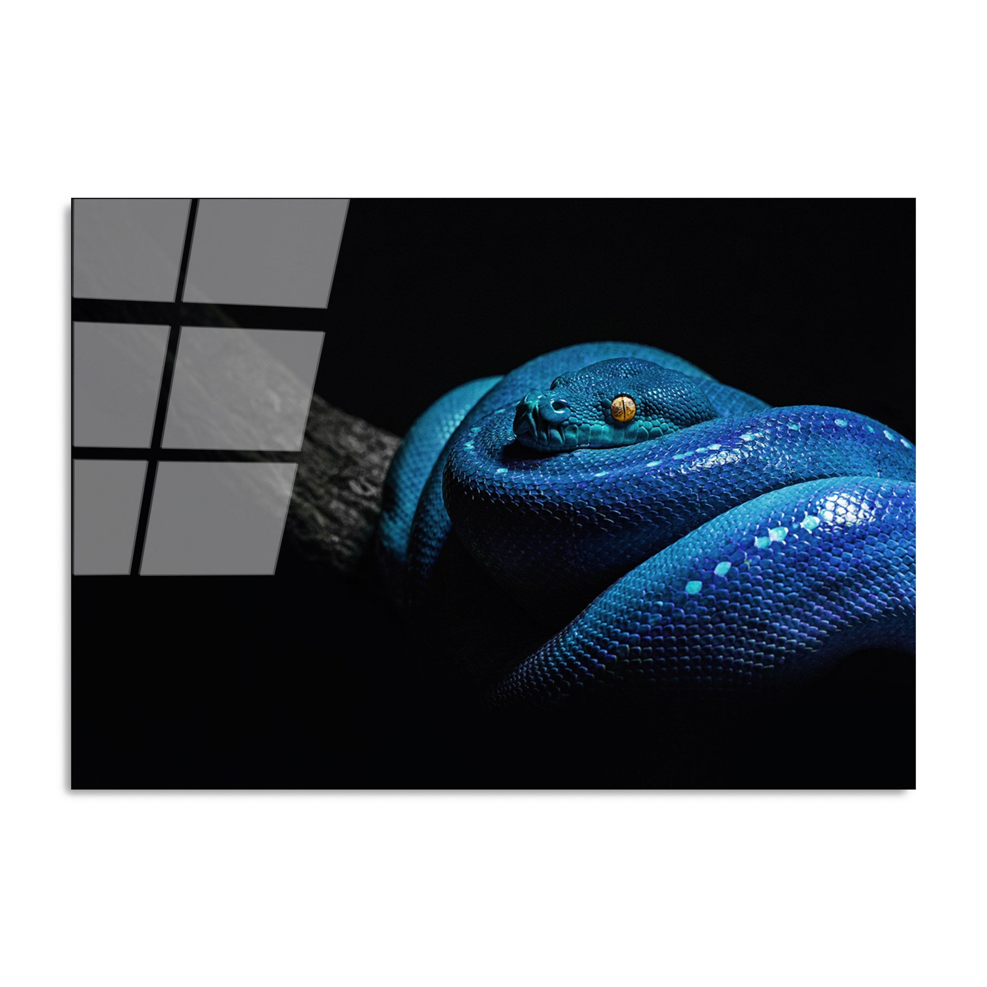 Quadro Decorativo em Vidro Temperado UV-148 70x100 cm, Multicor, 4 mm