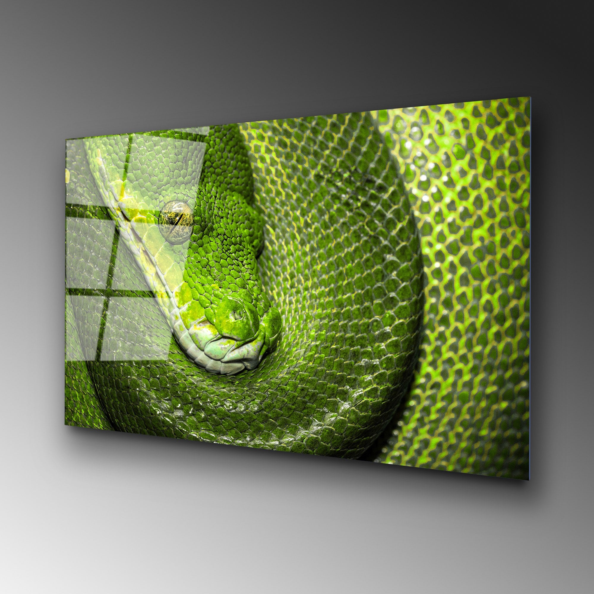 Quadro Decorativo em Vidro Temperado UV-150, Multicolor, 70 x 100 cm, 4 mm