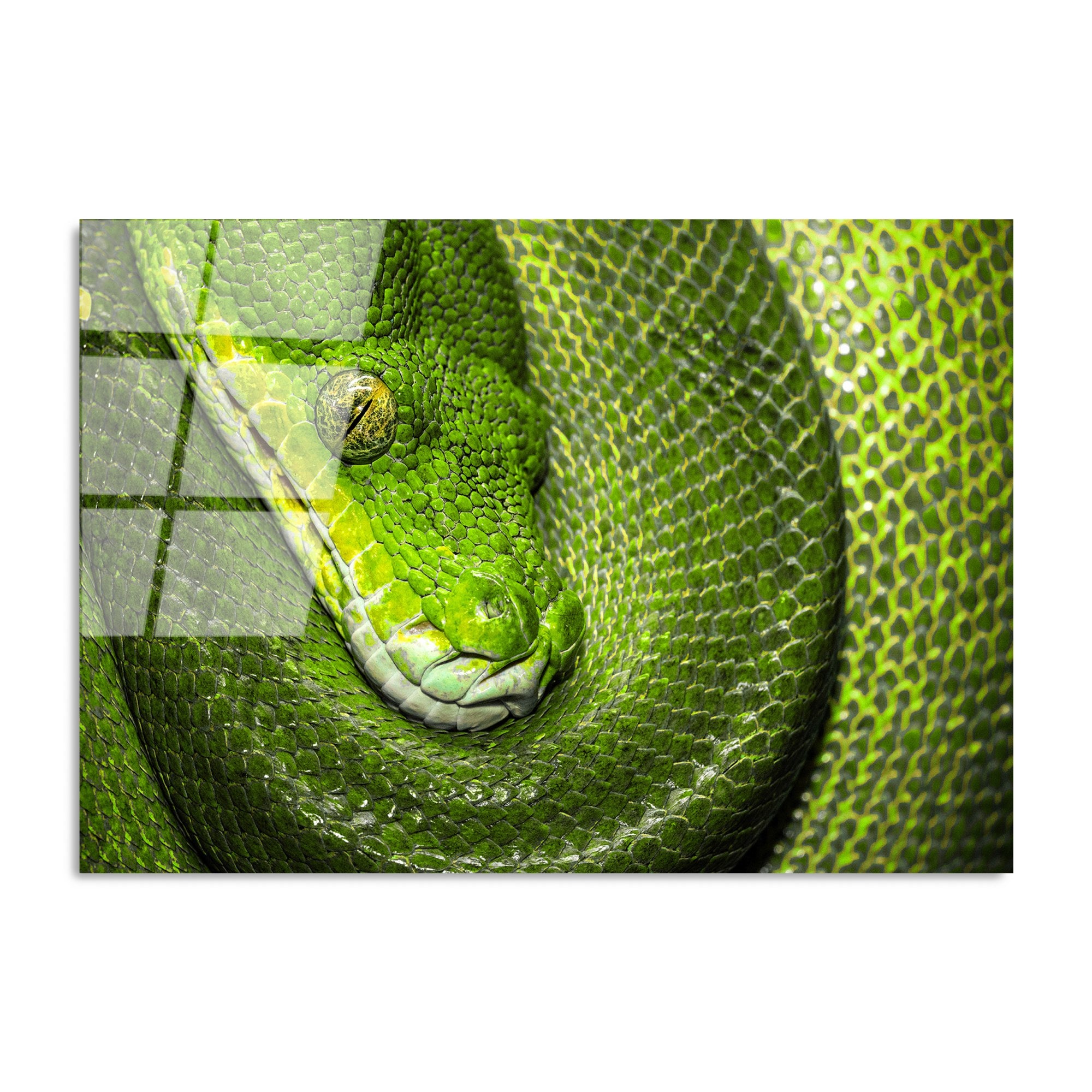 Quadro Decorativo em Vidro Temperado UV-150, Multicolor, 70 x 100 cm, 4 mm