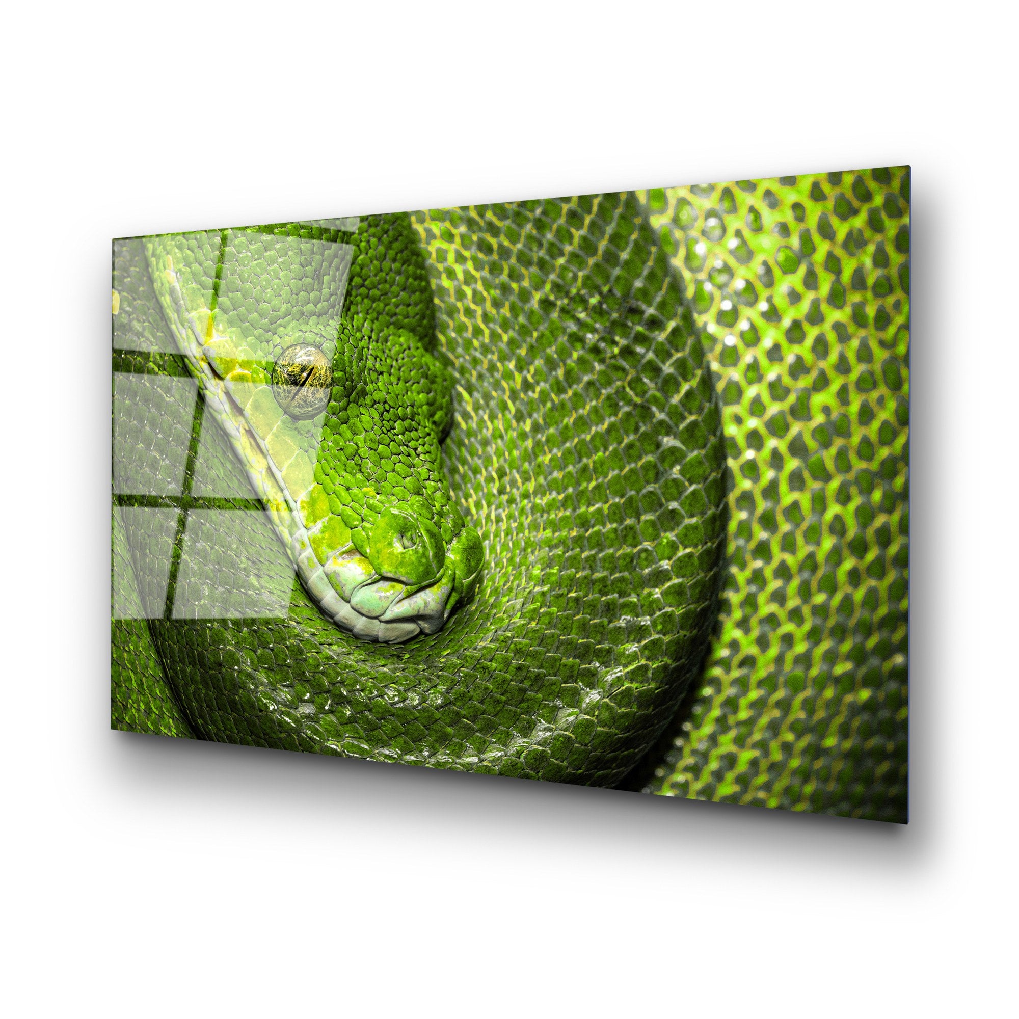 Quadro Decorativo em Vidro Temperado UV-150, Multicolor, 70 x 100 cm, 4 mm