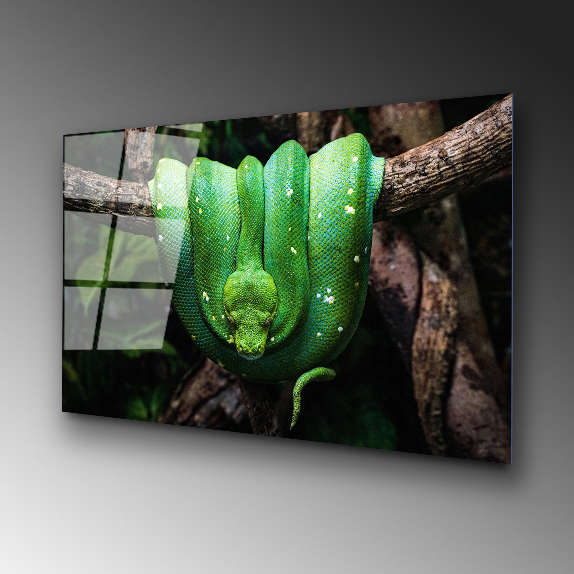 Quadro Decorativo em Vidro Temperado 100% UV-151 (70 x 100 cm) – Multicolor, 4 mm