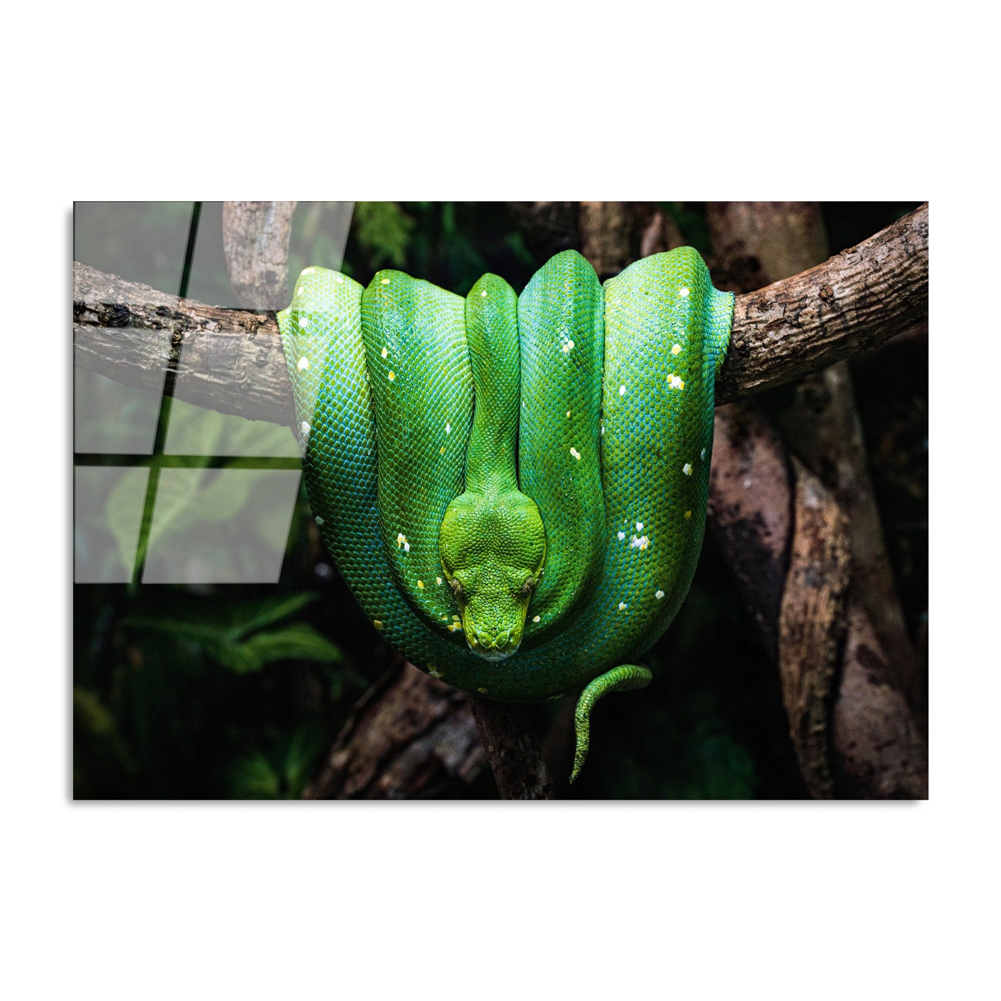 Quadro Decorativo em Vidro Temperado 100% UV-151 (70 x 100 cm) – Multicolor, 4 mm