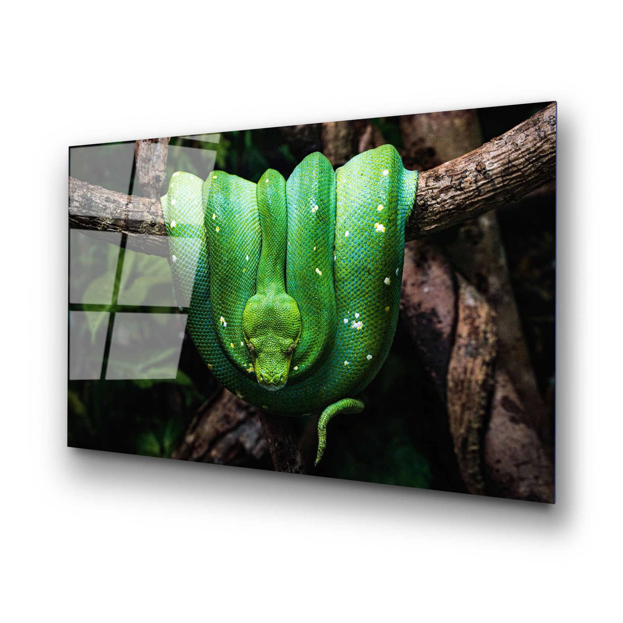 Quadro Decorativo em Vidro Temperado 100% UV-151 (70 x 100 cm) – Multicolor, 4 mm