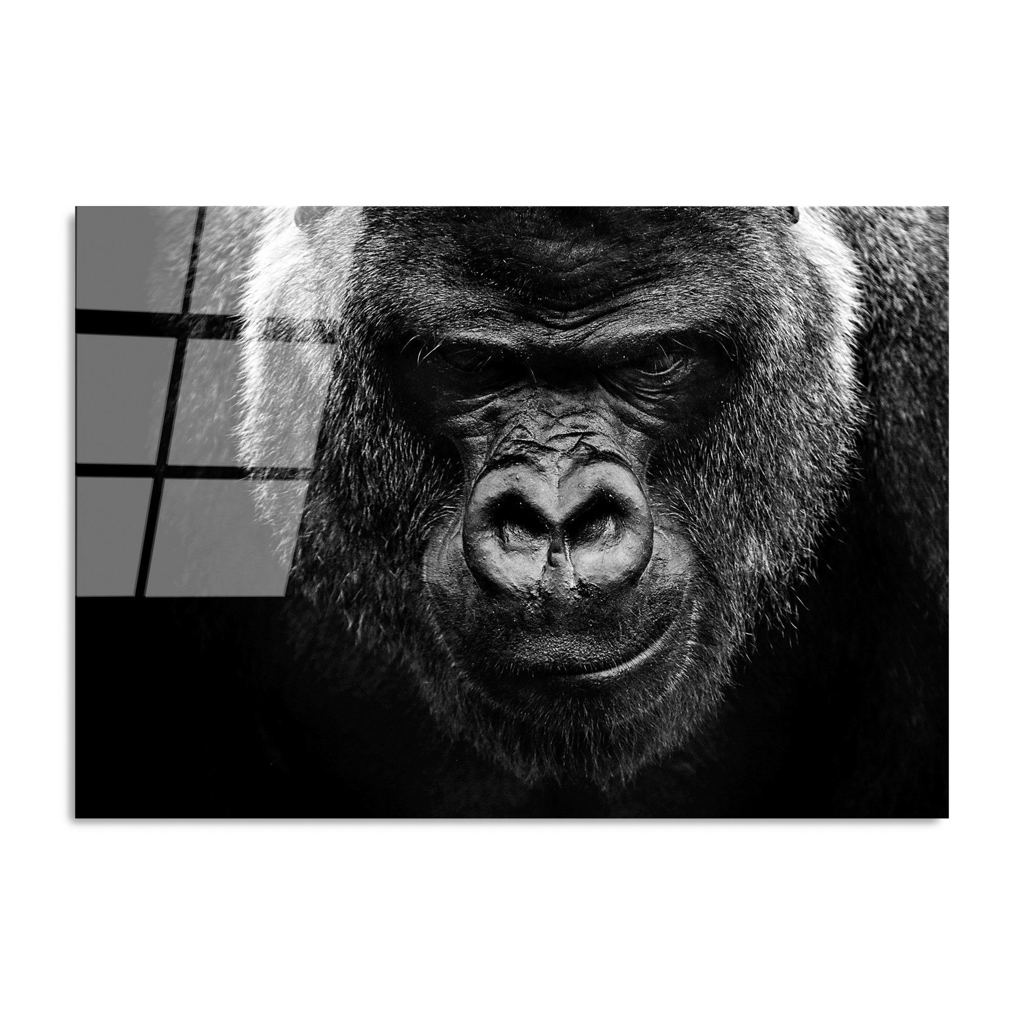 Quadro Decorativo em Vidro Temperado UV-152, Multicolor, 70 x 100 cm, 4 mm