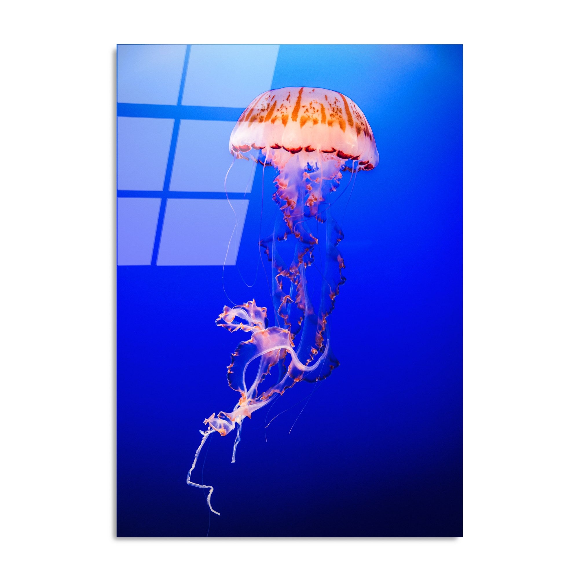 Quadro Decorativo em Vidro Temperado 70x100 cm Multicolor (4 mm) – UV-154