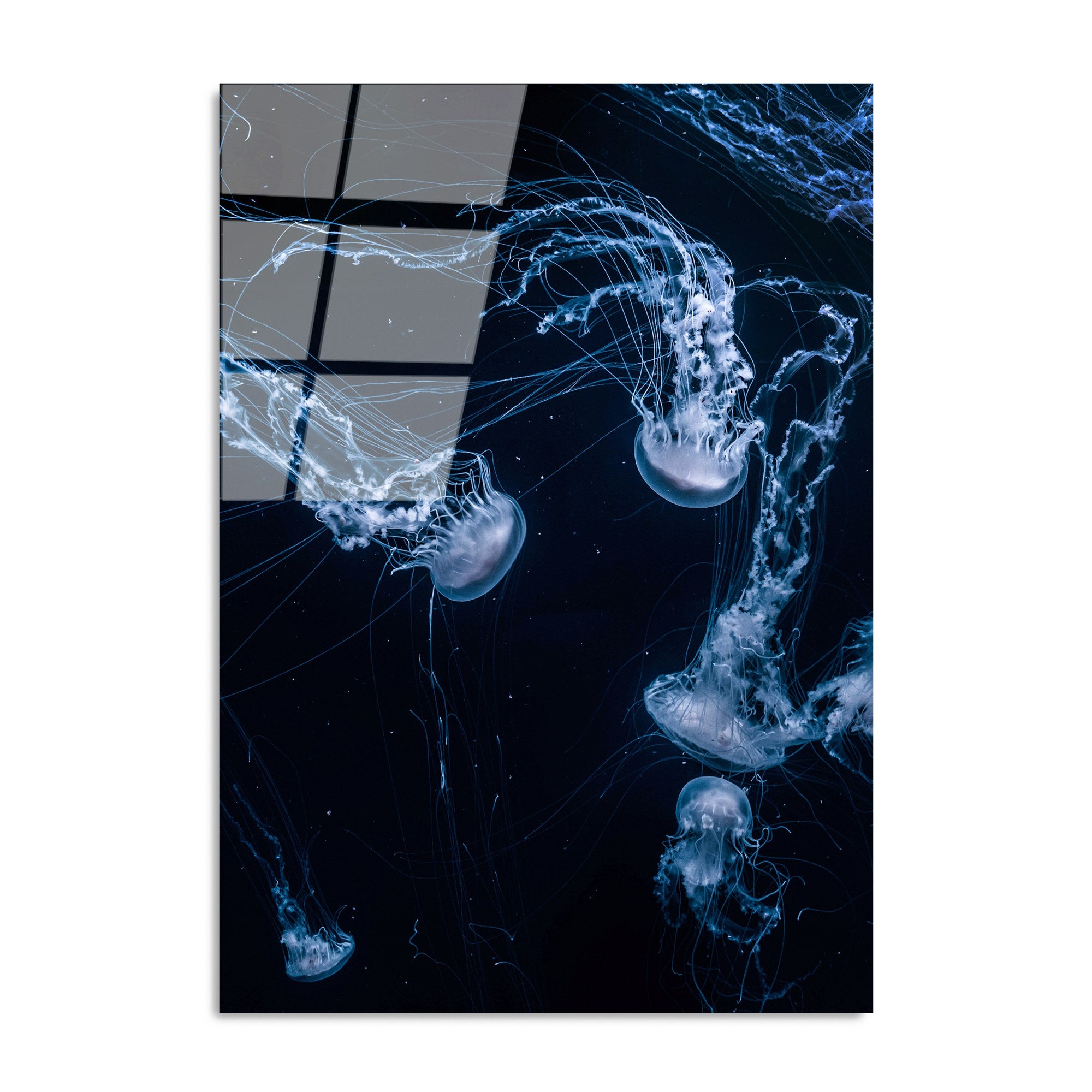 Quadro Decorativo em Vidro Temperado UV-155, Multicolor, 70 x 100 cm (4 mm)