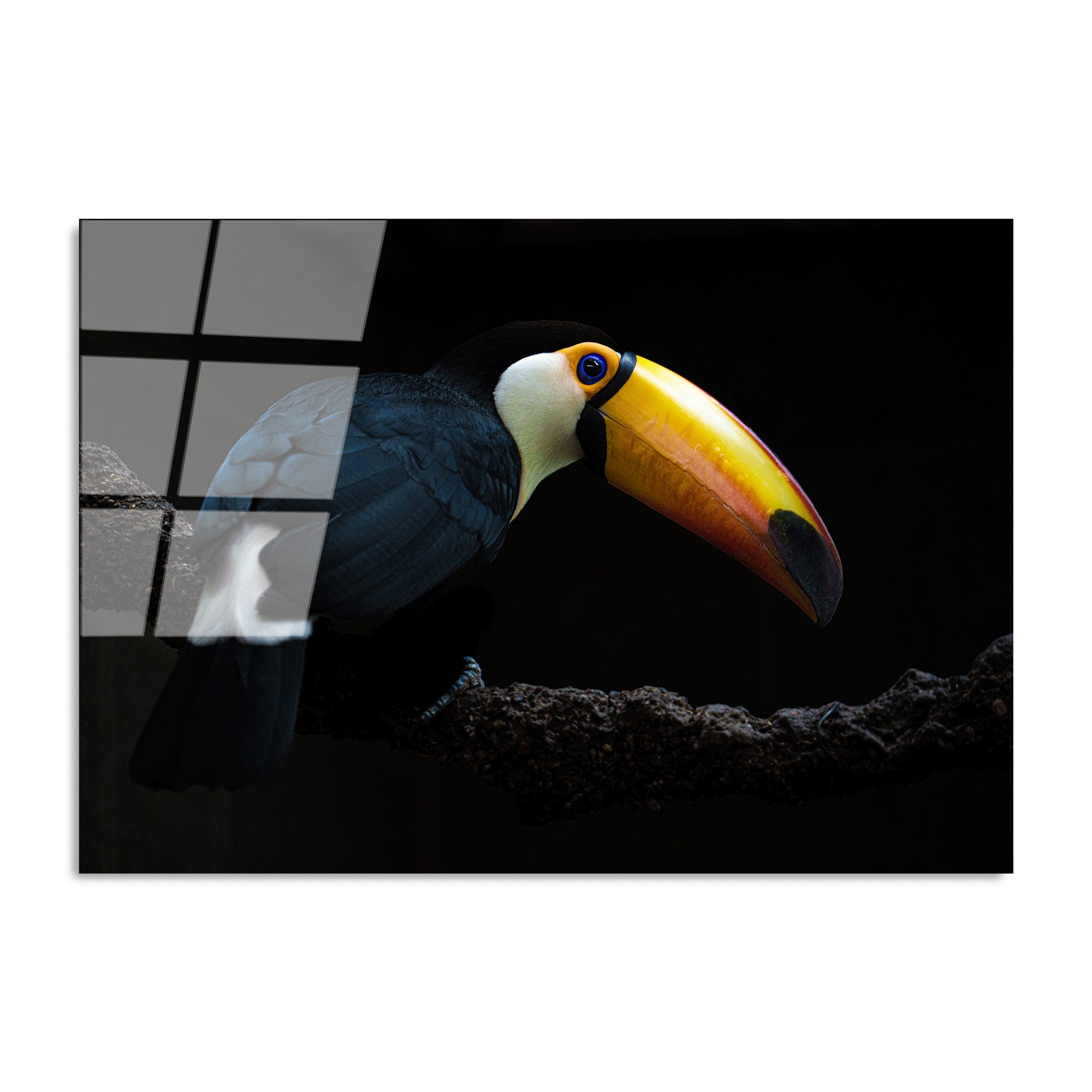 Quadro Decorativo em Vidro Temperado 100% UV-156, Multicolor, 70 x 100 cm (4 mm)