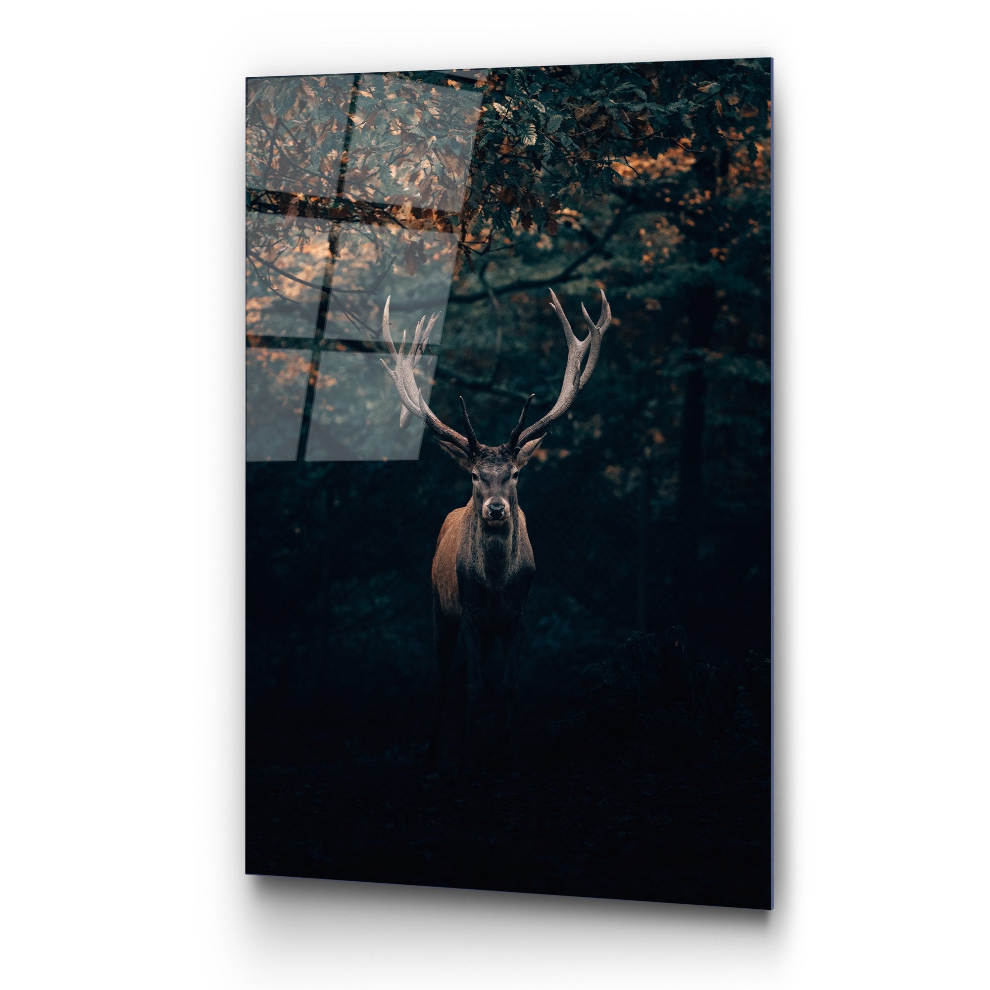 Quadro Decorativo em Vidro Temperado UV-157, 70x100 cm, Multicor, 4 mm