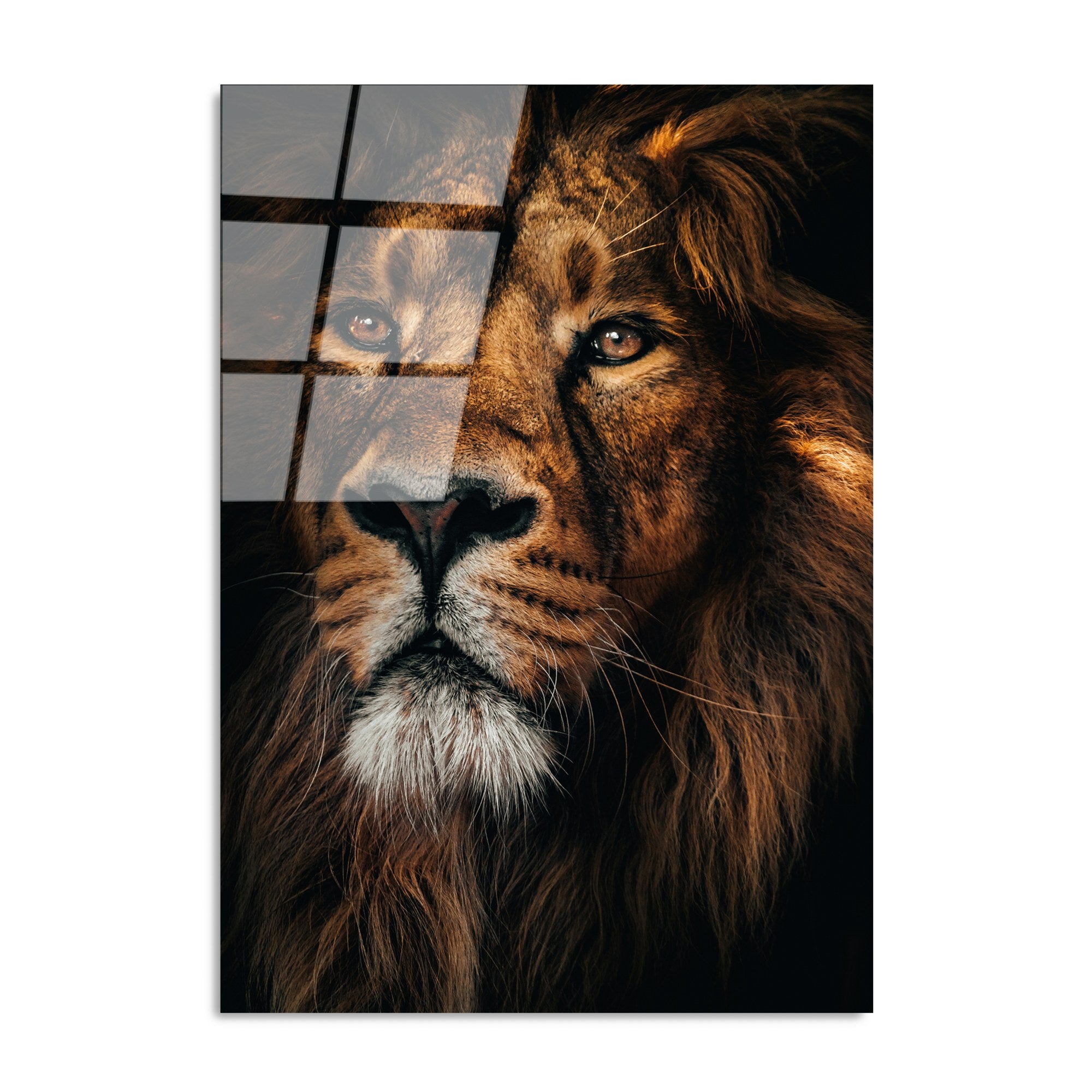 Quadro Decorativo em Vidro Temperado UV-159, Multicolor, 70 x 100 cm, 4 mm