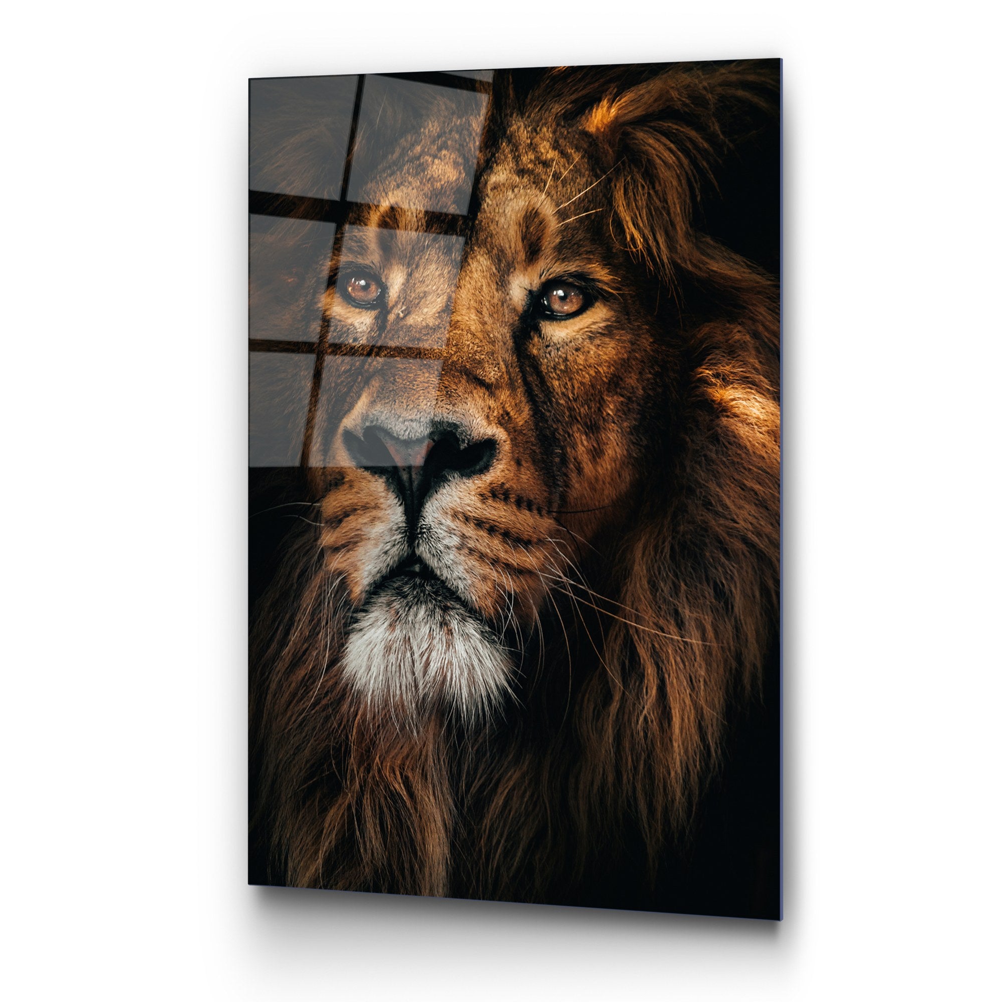 Quadro Decorativo em Vidro Temperado UV-159, Multicolor, 70 x 100 cm, 4 mm