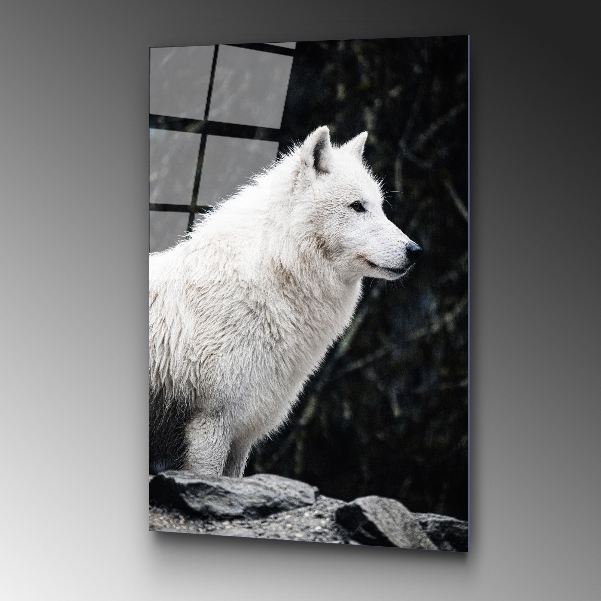 Quadro Decorativo 100% Vidro Temperado Multicolor 70 x 100 cm (4 mm) – UV-161