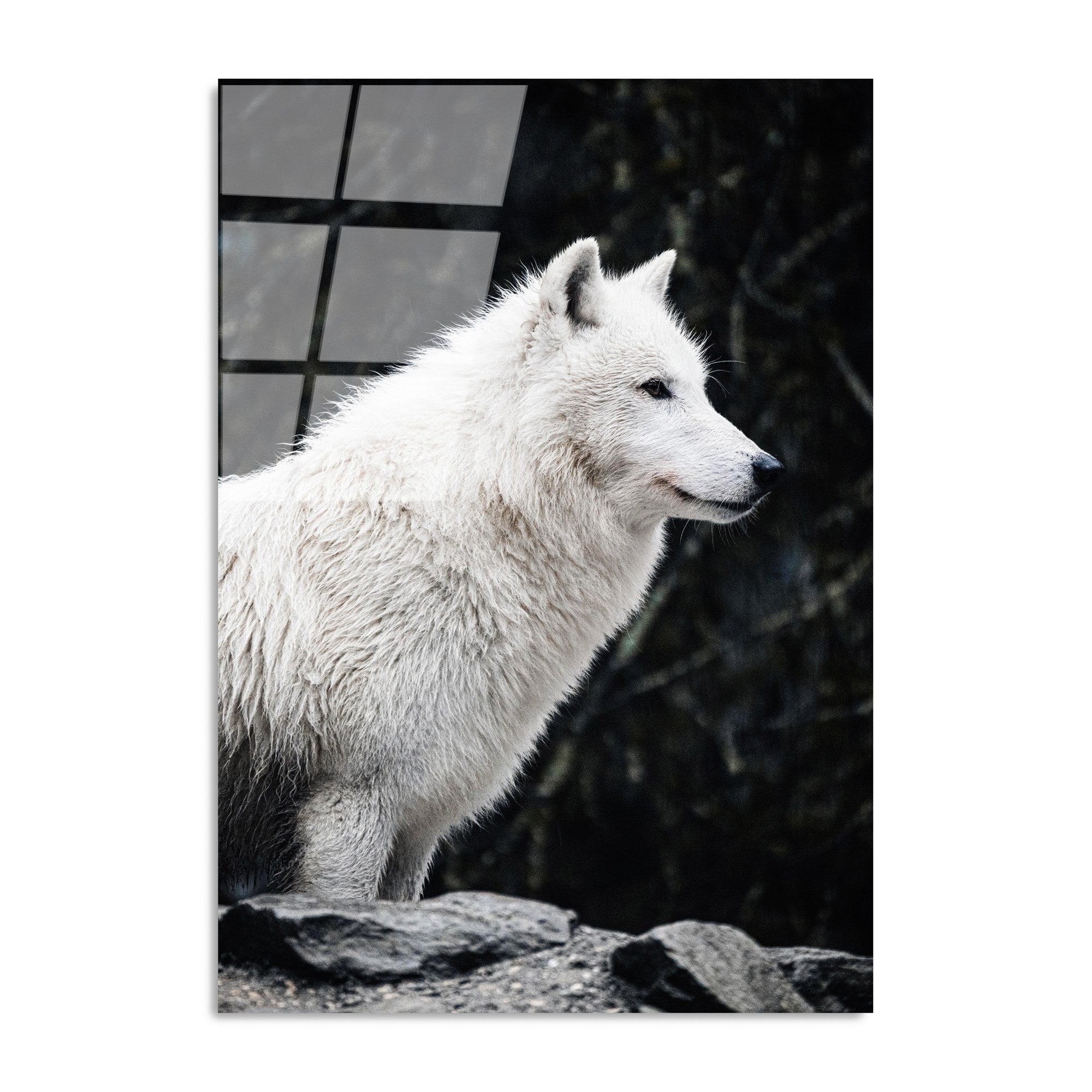 Quadro Decorativo 100% Vidro Temperado Multicolor 70 x 100 cm (4 mm) – UV-161