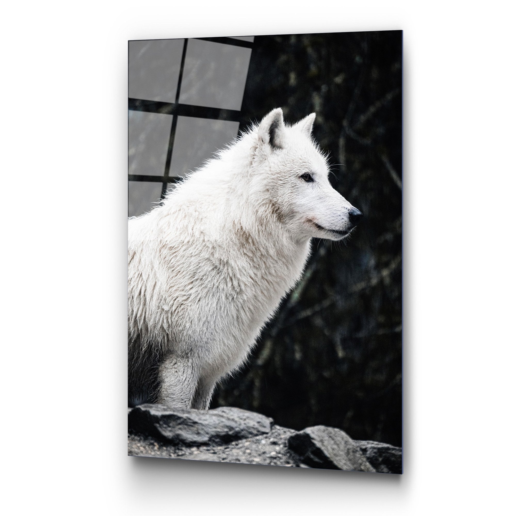 Quadro Decorativo 100% Vidro Temperado Multicolor 70 x 100 cm (4 mm) – UV-161