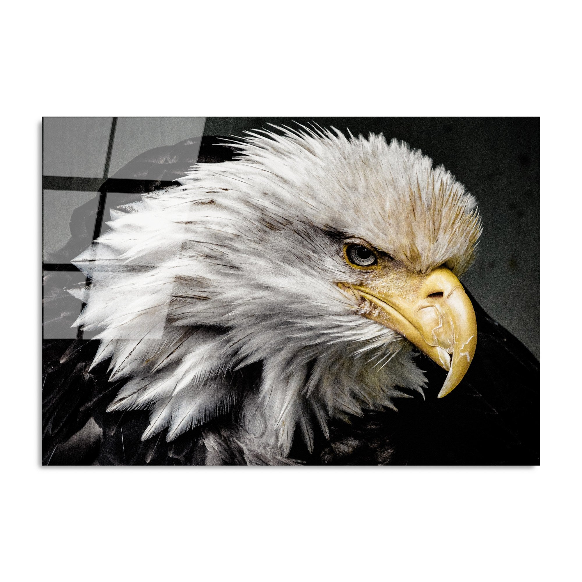 Quadro Decorativo em Vidro Temperado UV-162, Multicolor, 70 x 100 cm (4 mm) – Ref. 123BZM1225