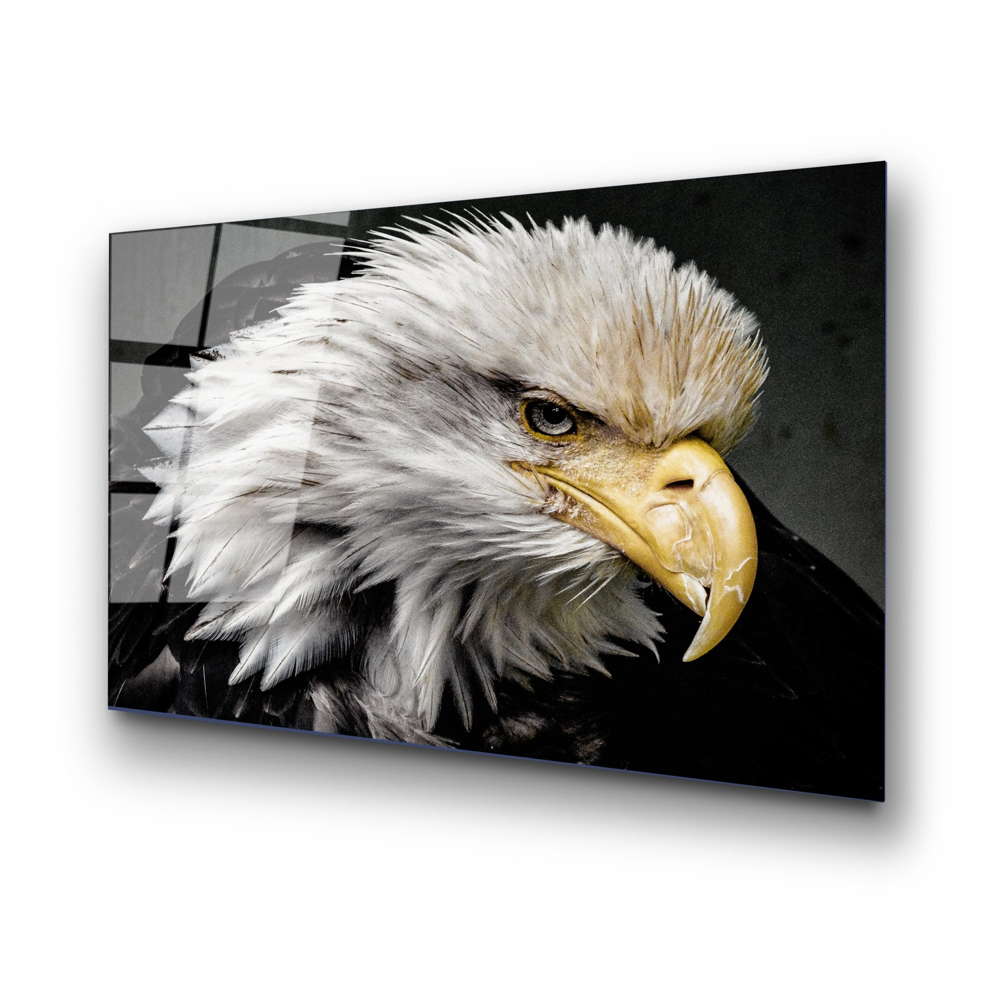 Quadro Decorativo em Vidro Temperado UV-162, Multicolor, 70 x 100 cm (4 mm) – Ref. 123BZM1225