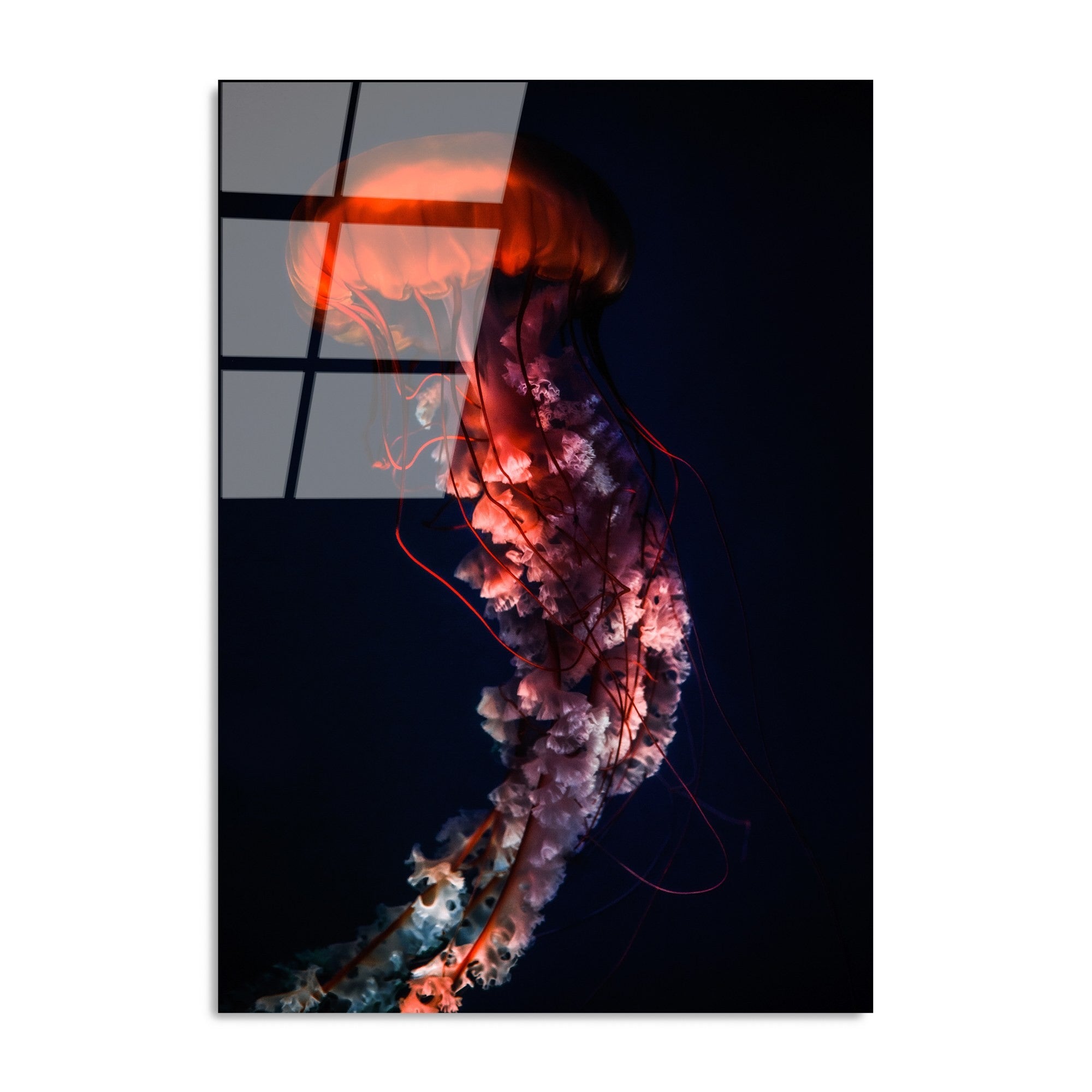 Quadro Decorativo em Vidro Temperado 100% (4 mm) UV-165 – 70 x 100 cm – Multicolor